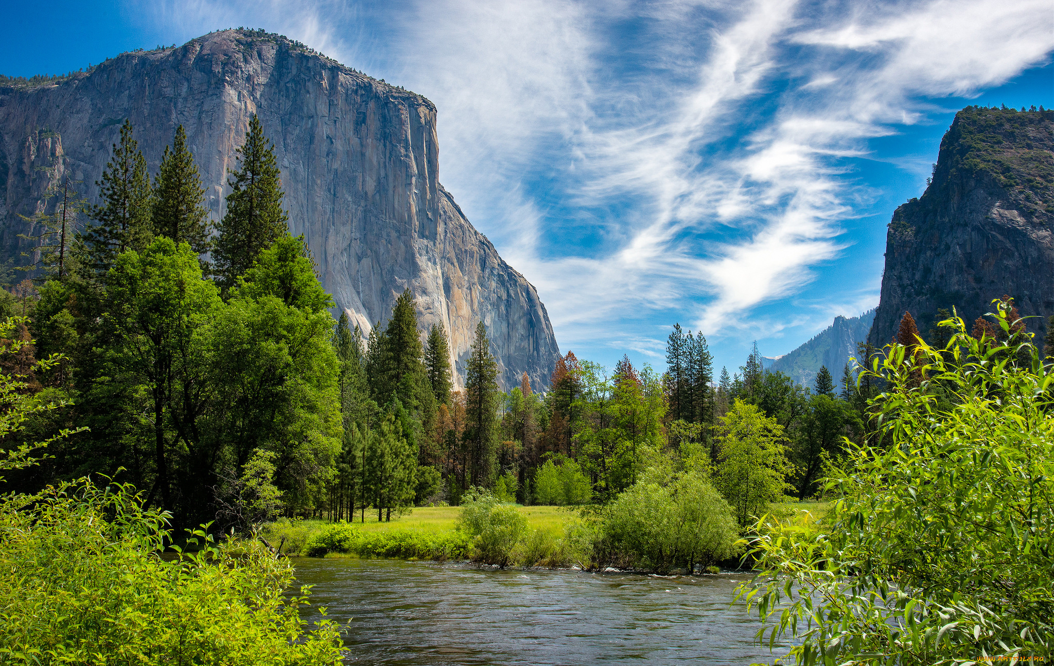 природа, реки, озера, лес, река