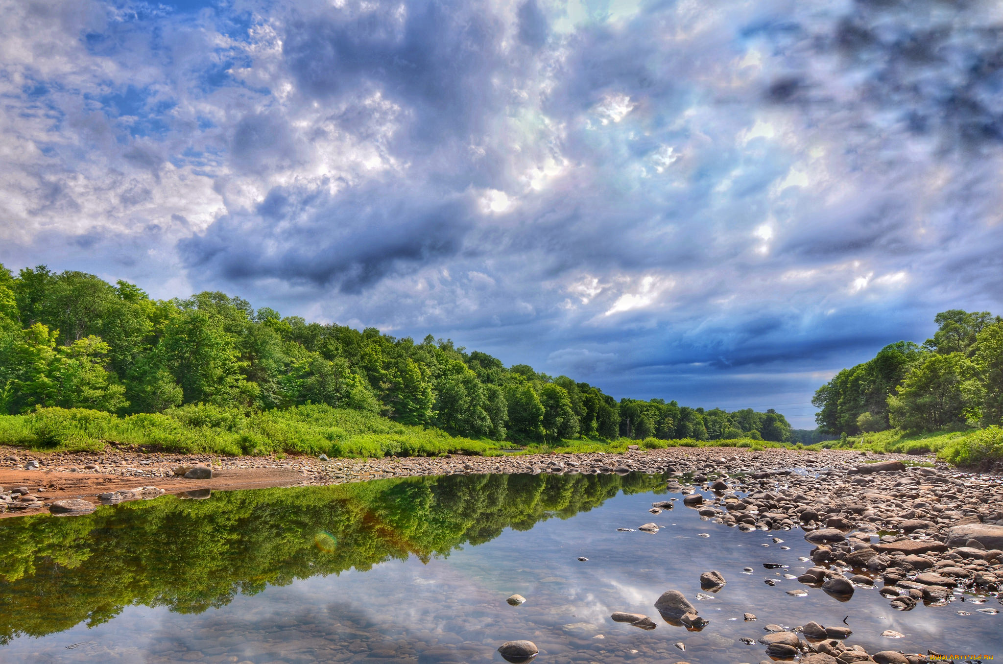 природа, реки, озера, лес, река
