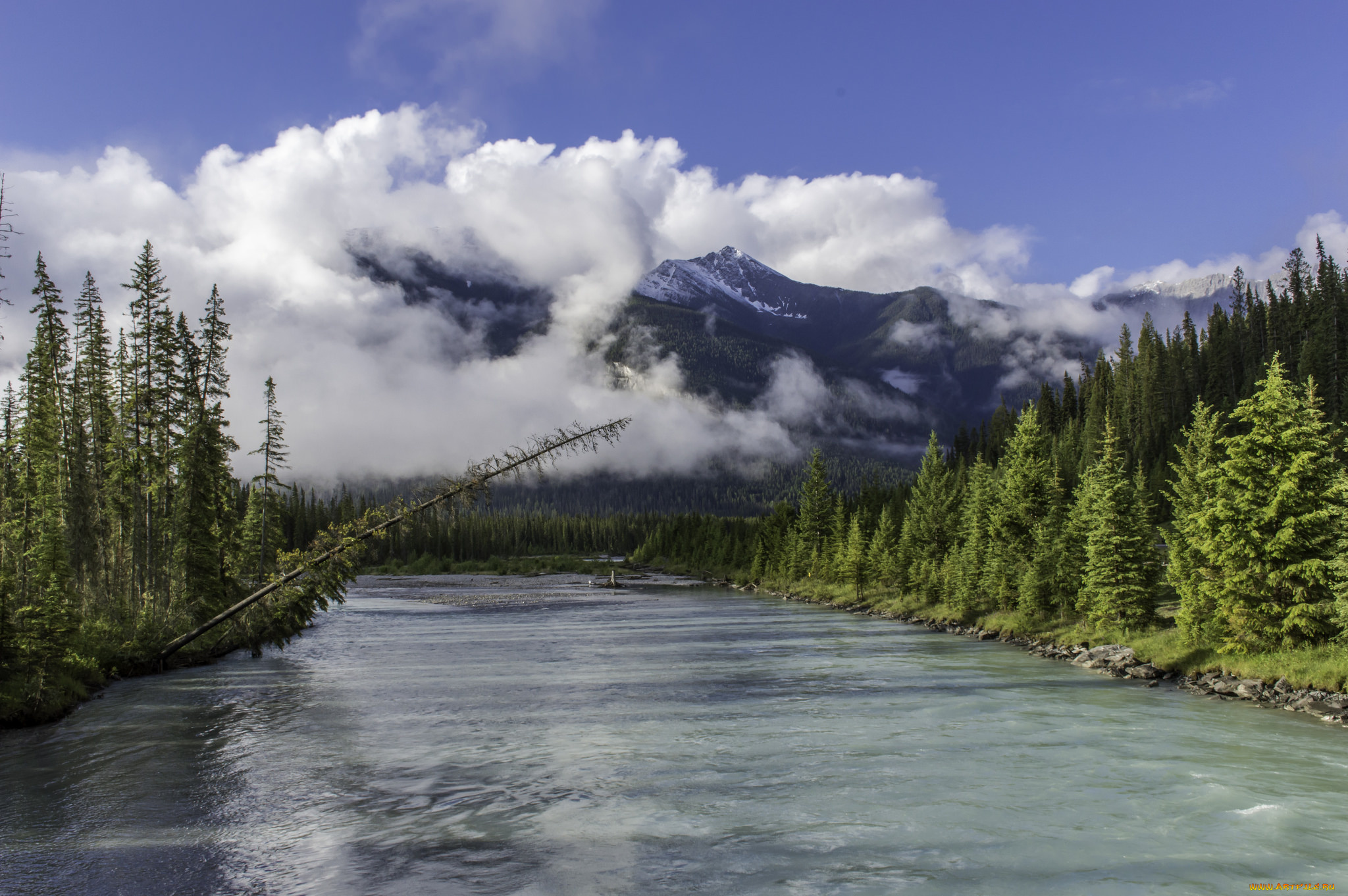 природа, реки, озера, лес, река