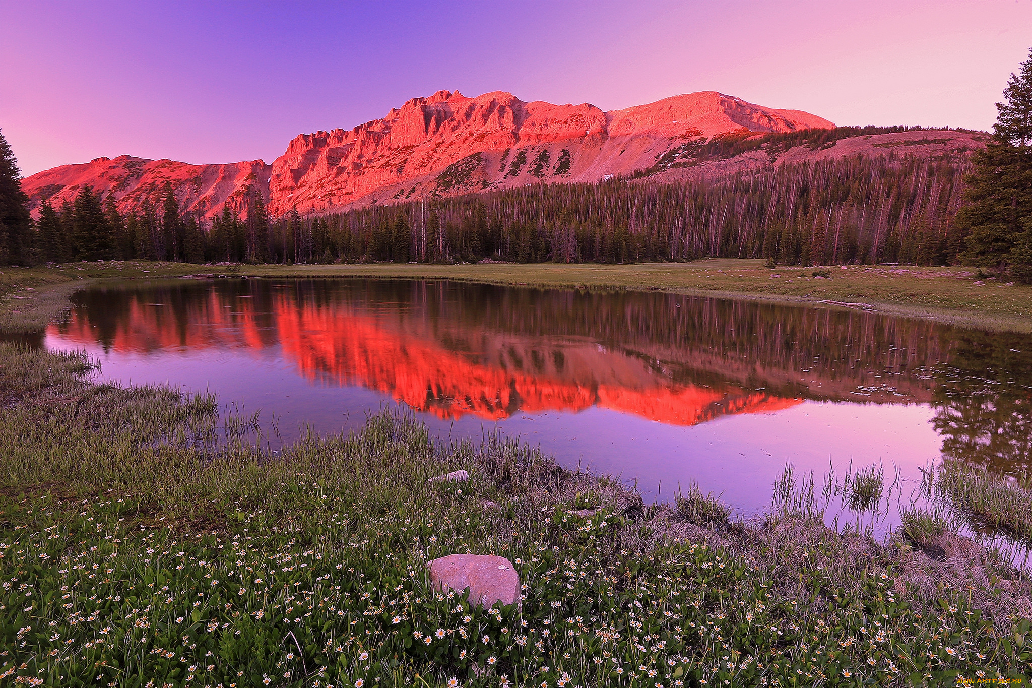 природа, реки, озера, лес, река