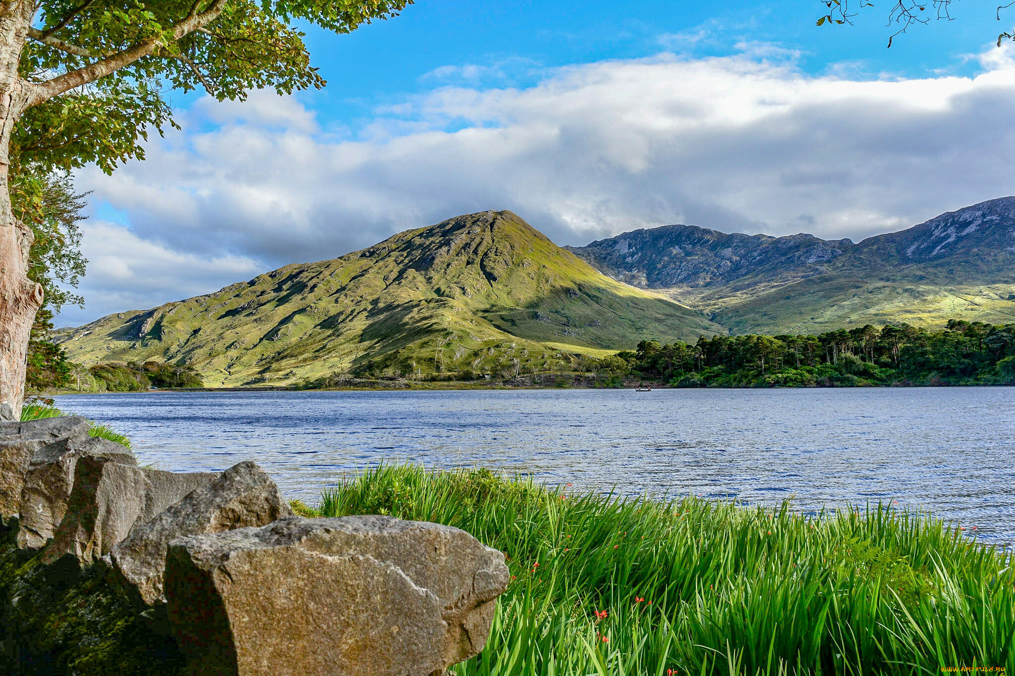 природа, реки, озера, лес, река