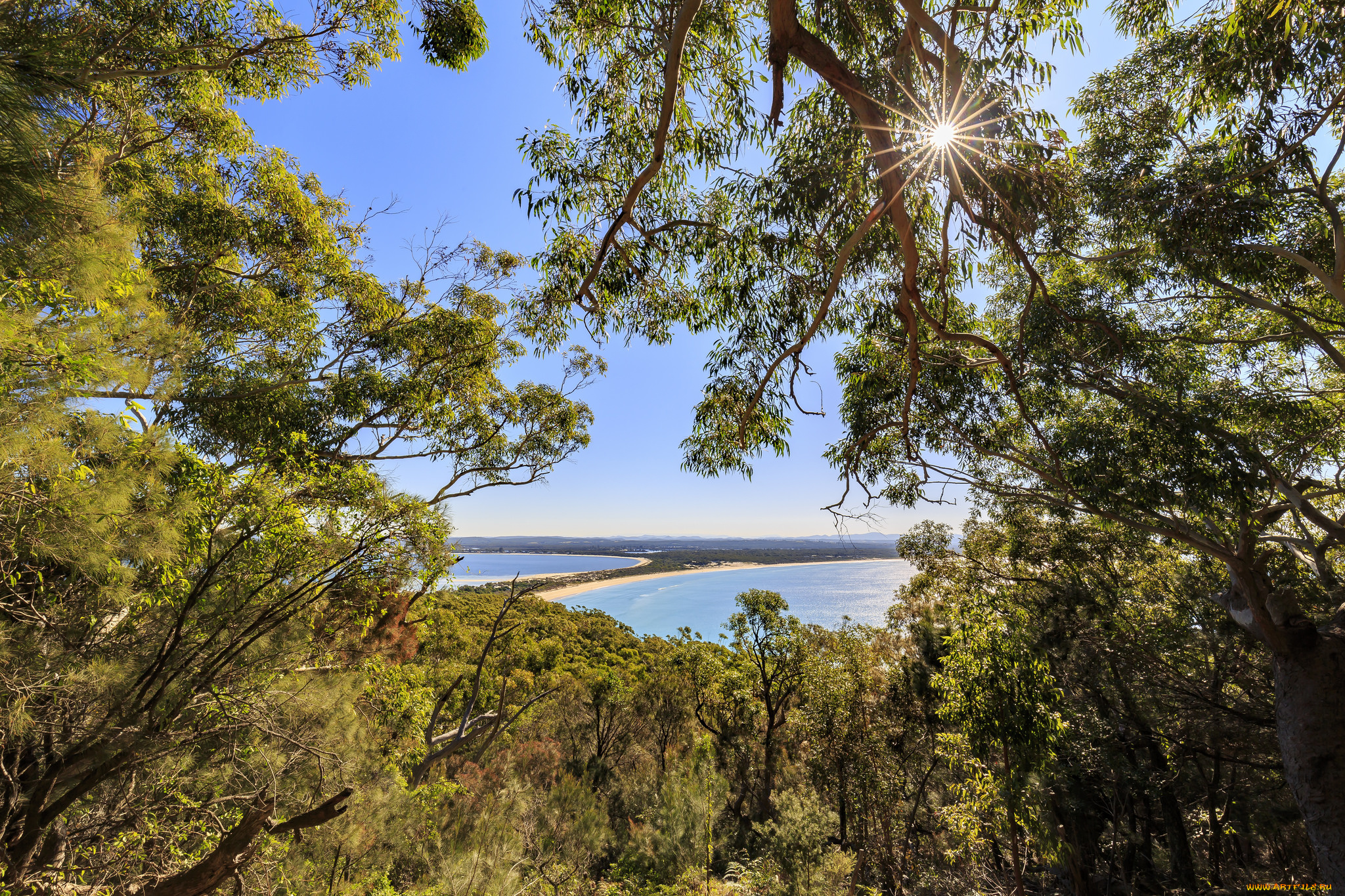 природа, реки, озера, лес, река