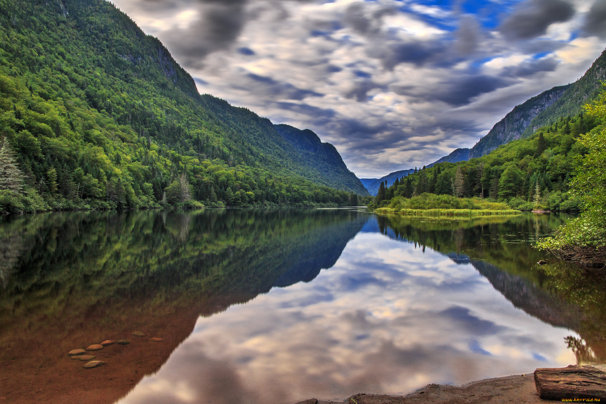 природа, реки, озера, лес, река