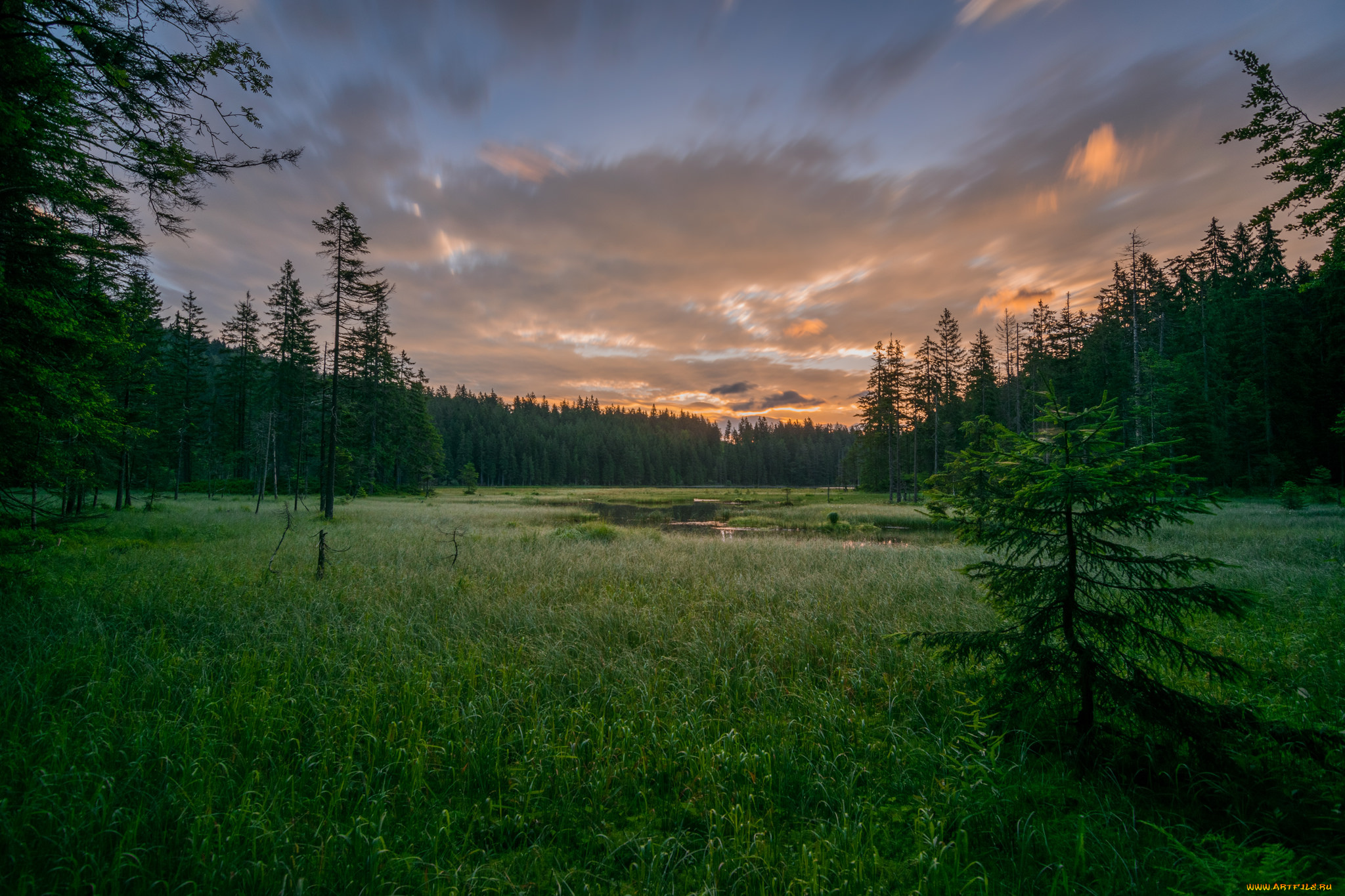 природа, реки, озера, лес, река