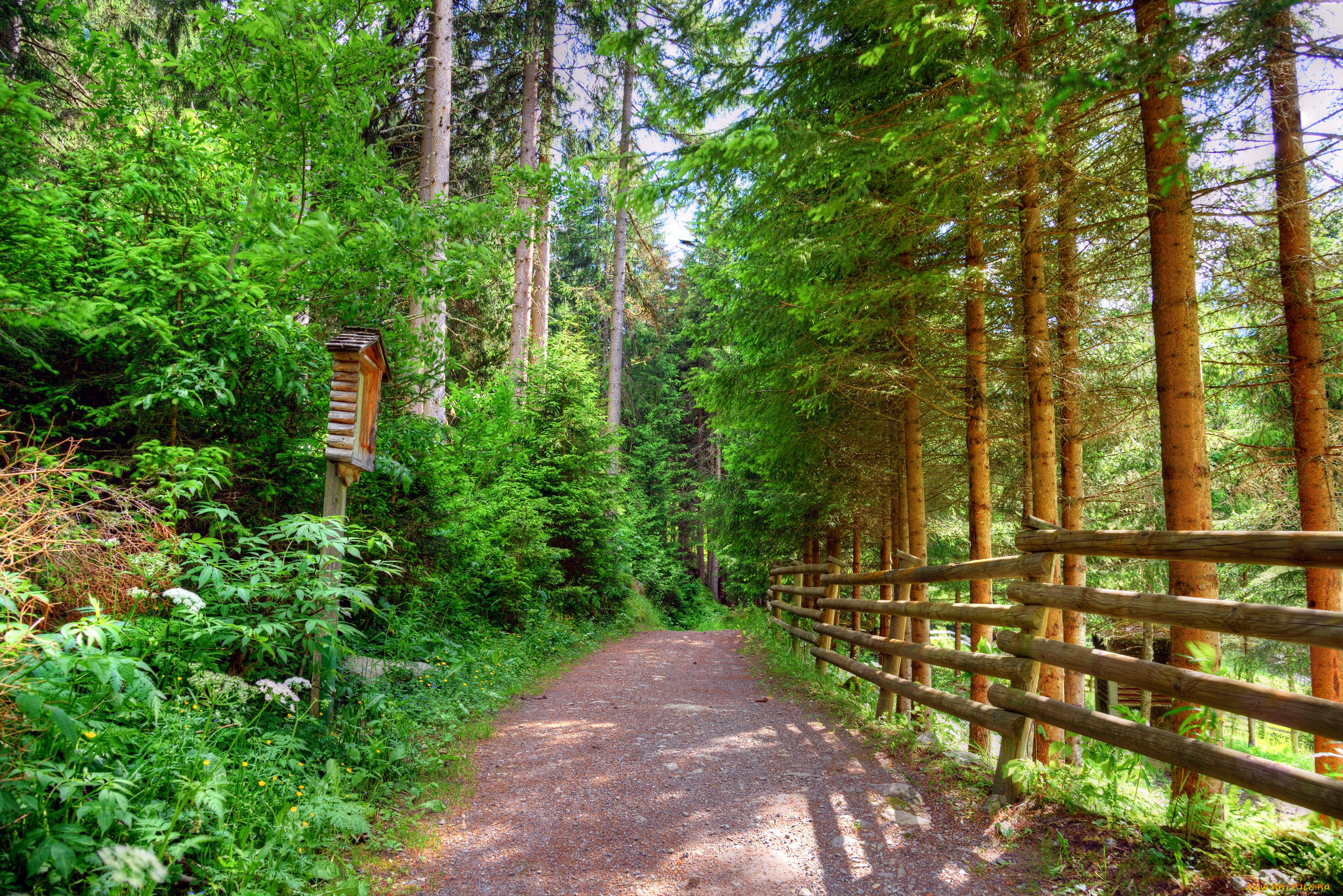 природа, дороги, тракт