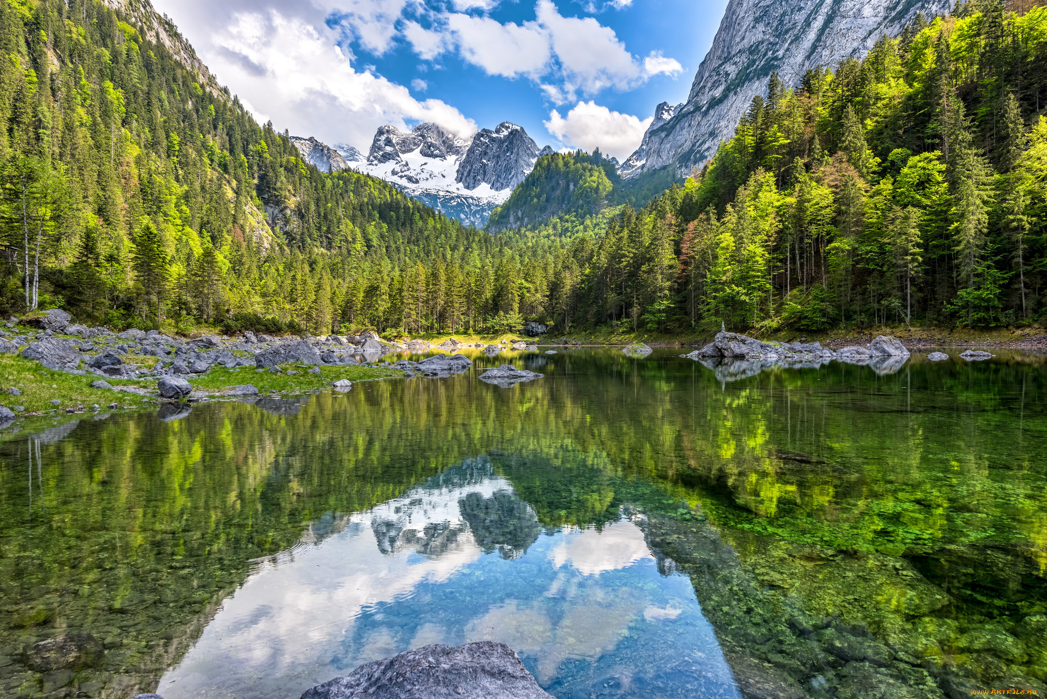 природа, реки, озера, лес, река