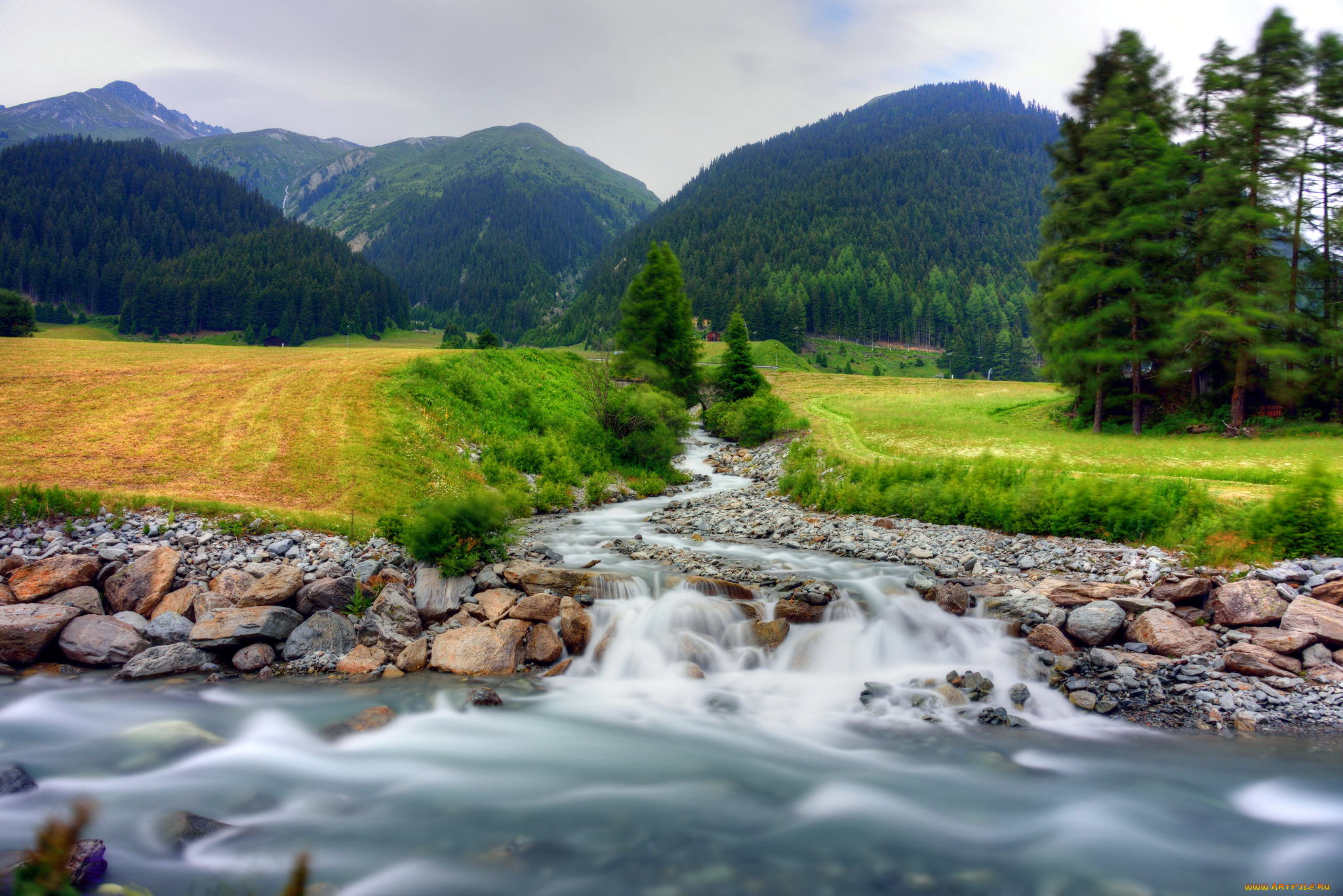 природа, реки, озера, лес, река