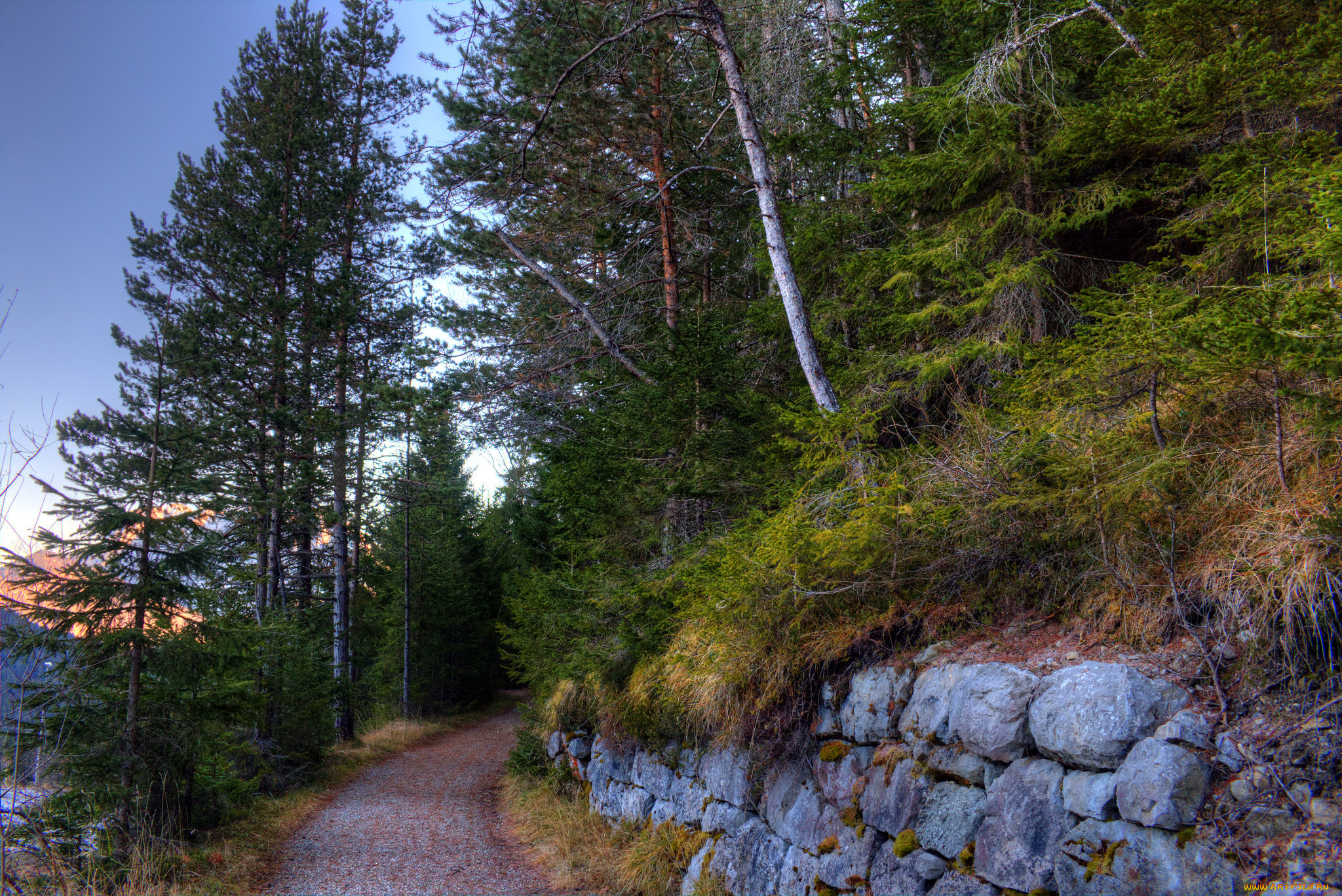 природа, дороги, тракт