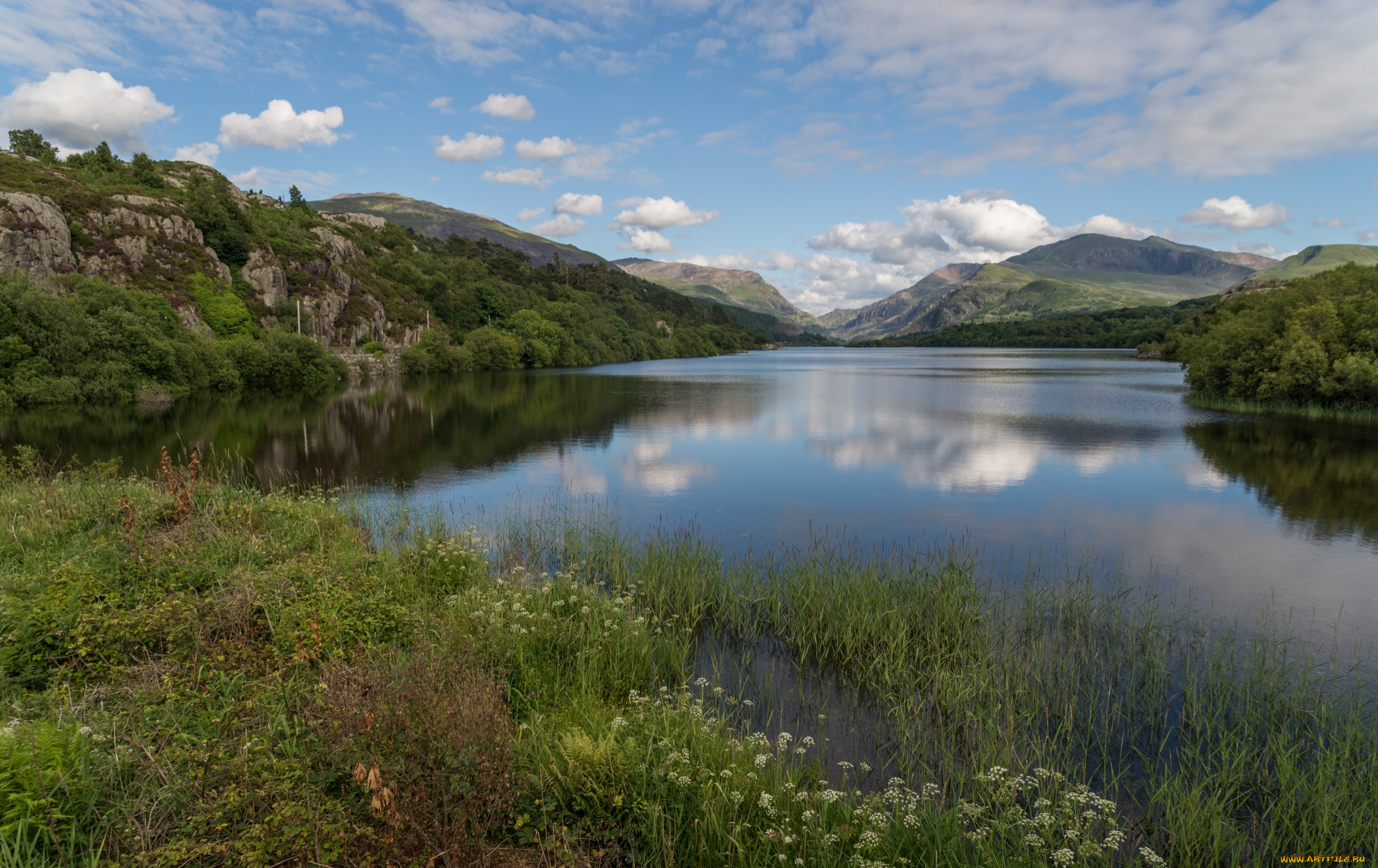 природа, реки, озера, лес, река