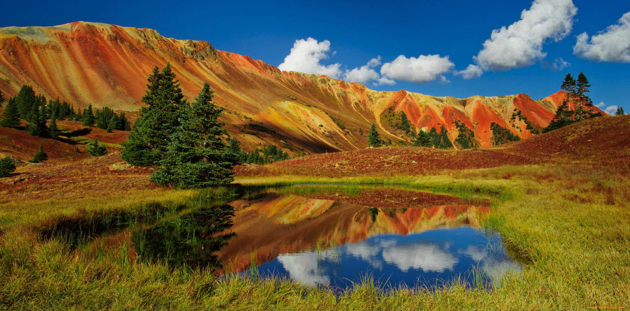 природа, реки, озера, лес, река