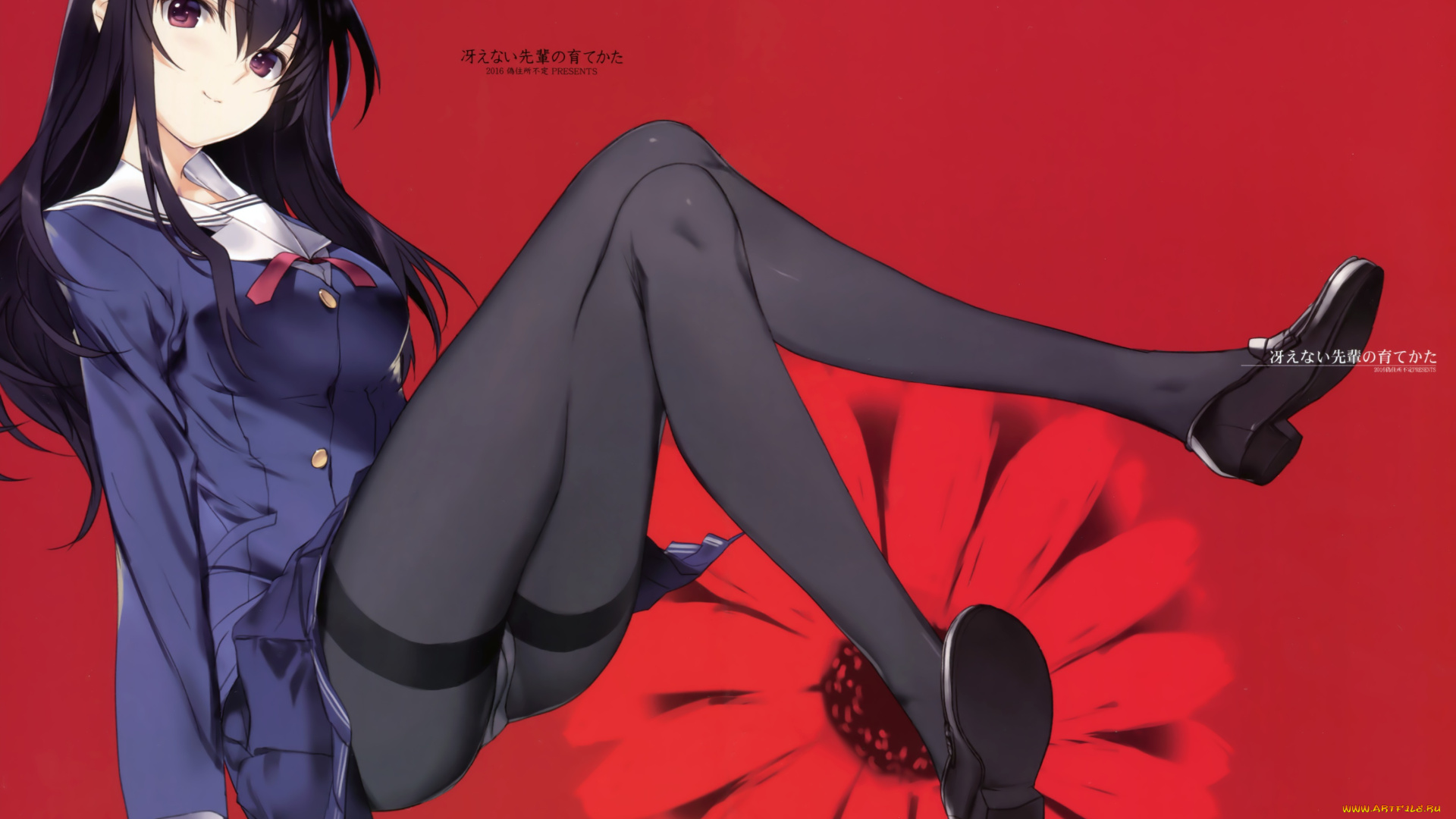 аниме, saenai, heroine, no, sodatekata, saenai, heroine, no, sodatekata