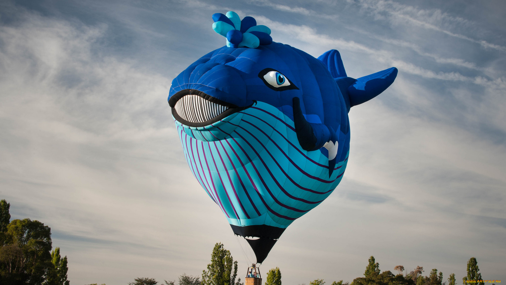 авиация, воздушные, шары, аэростат