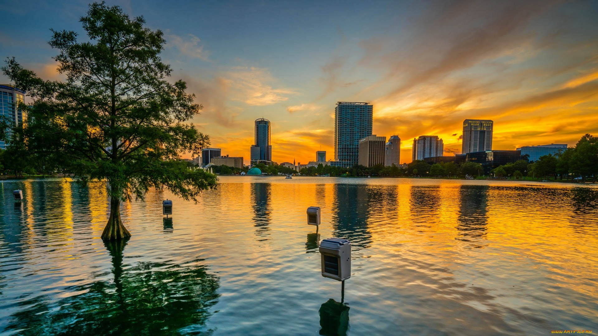 города, -, панорамы, водоем, деревья, небоскребы
