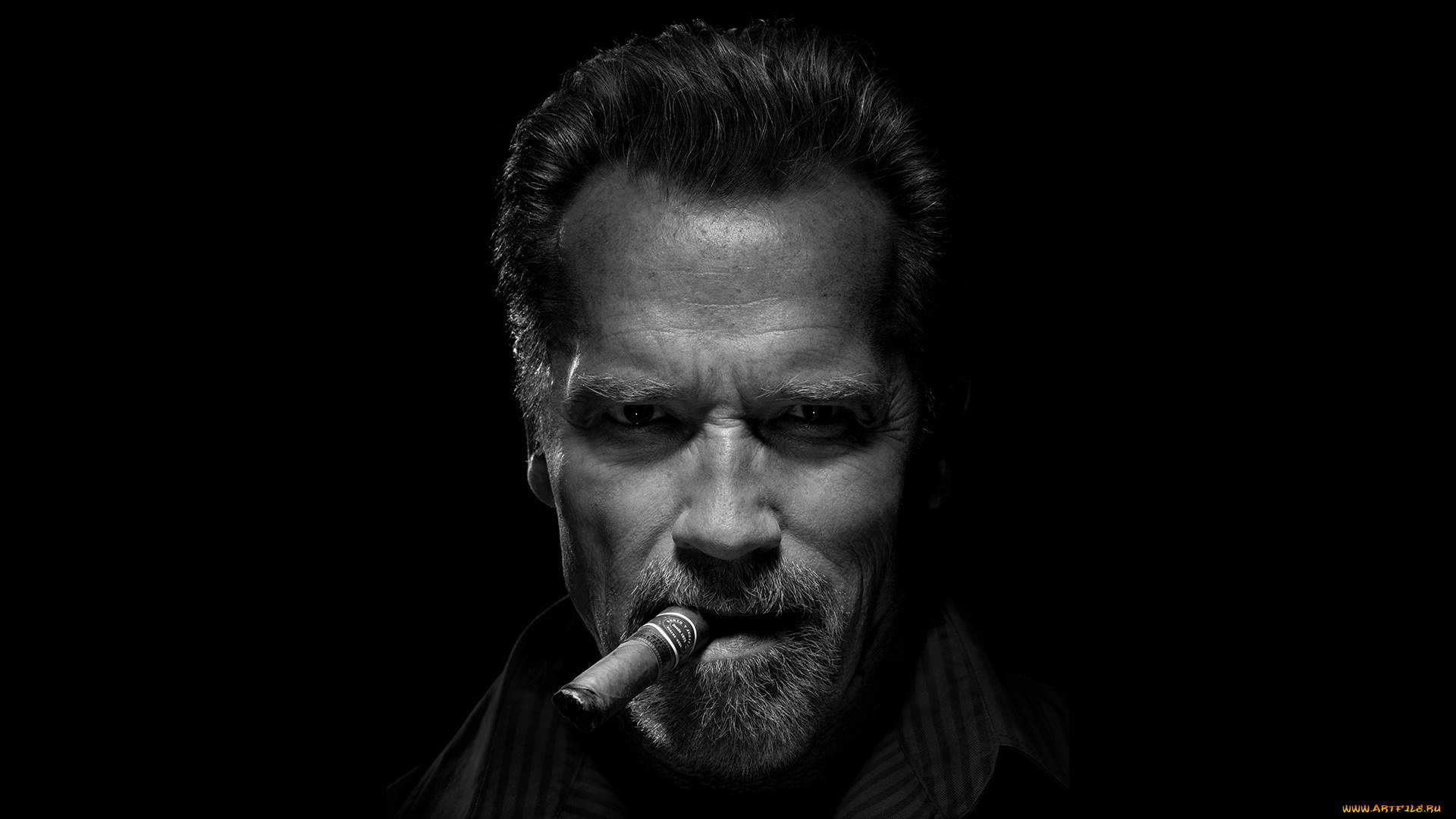 мужчины, arnold, schwarzenegger, arnold, schwarzenegger