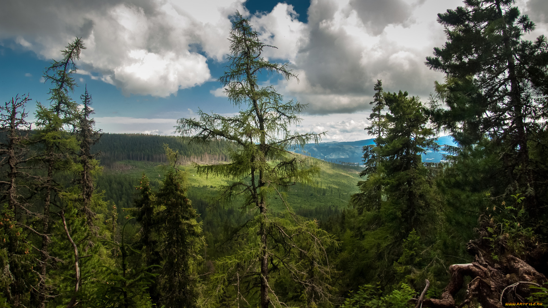 природа, пейзажи, простор