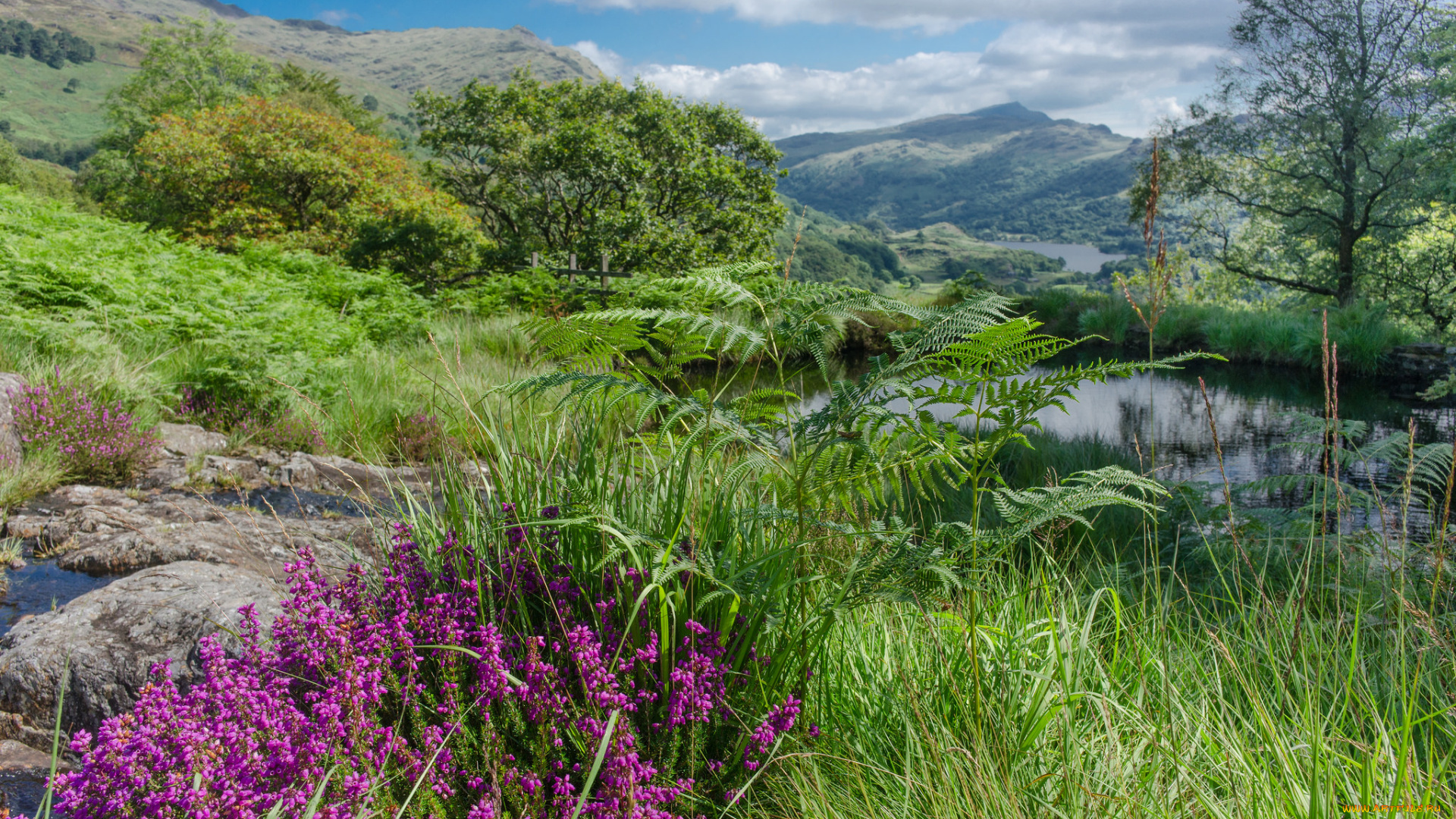 природа, пейзажи, простор