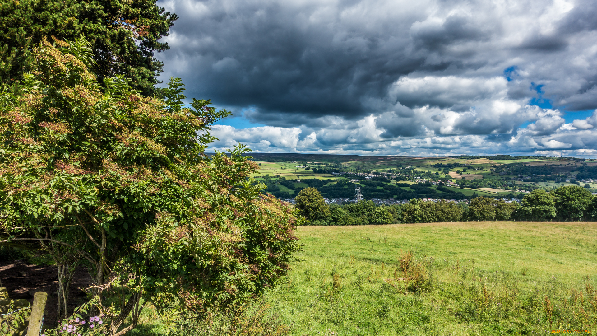 природа, пейзажи, простор