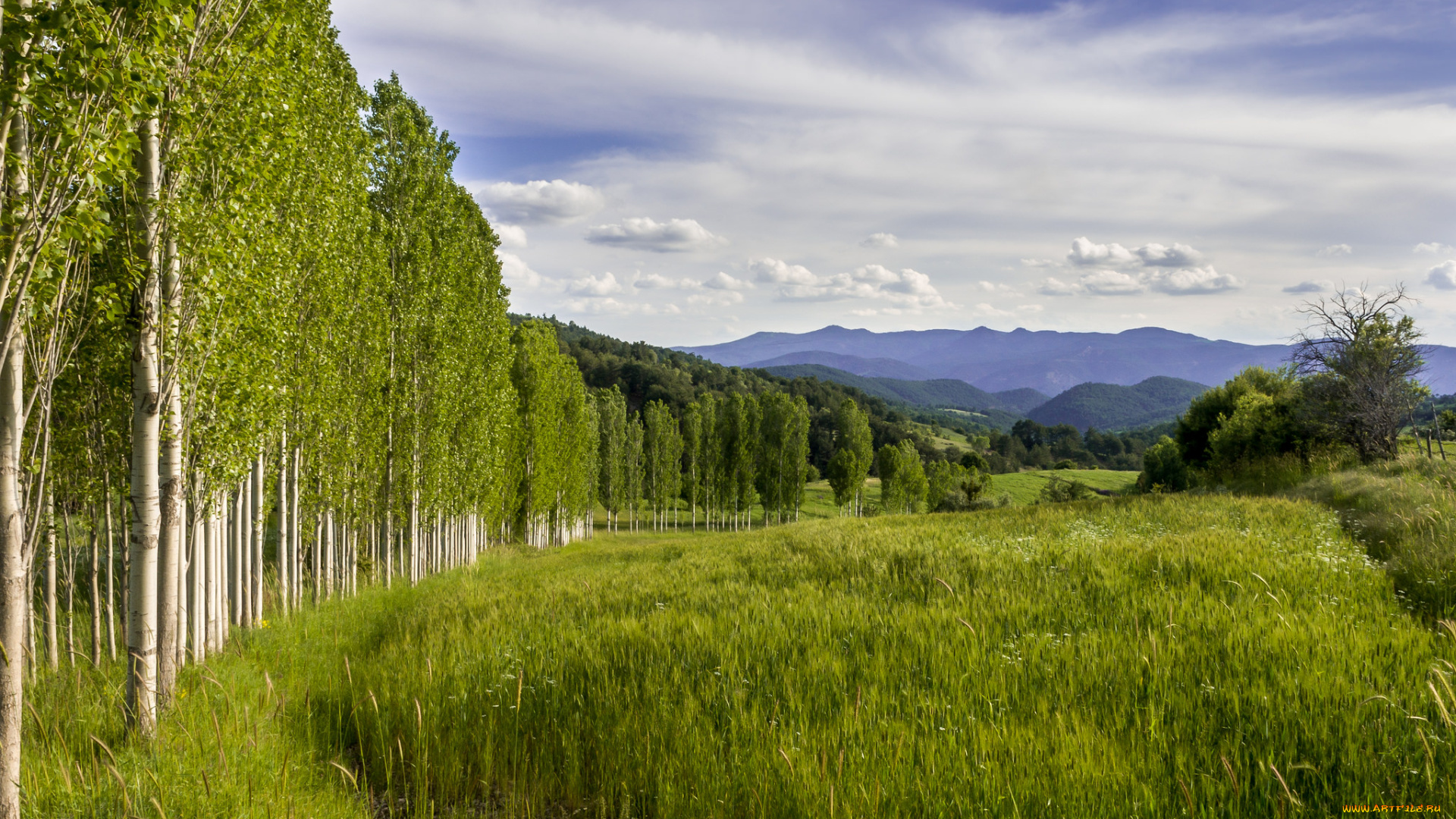 природа, пейзажи, простор