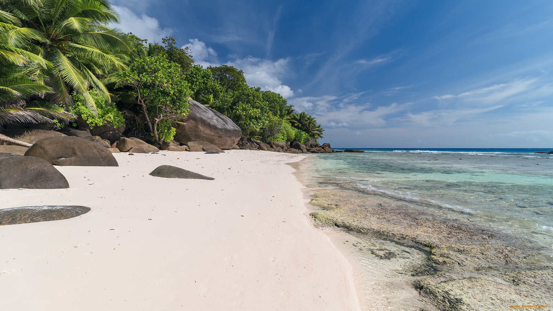 природа, побережье, пальмы, песок, пляж, море