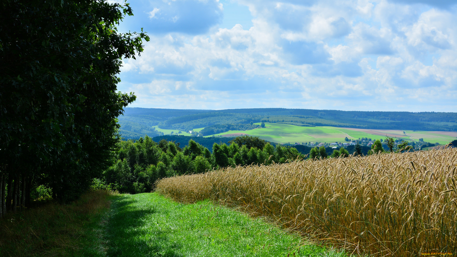 природа, поля, простор