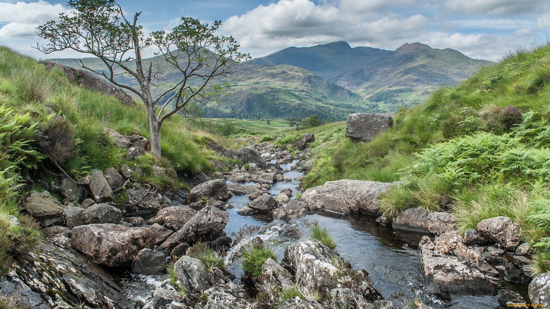 природа, реки, озера, простор