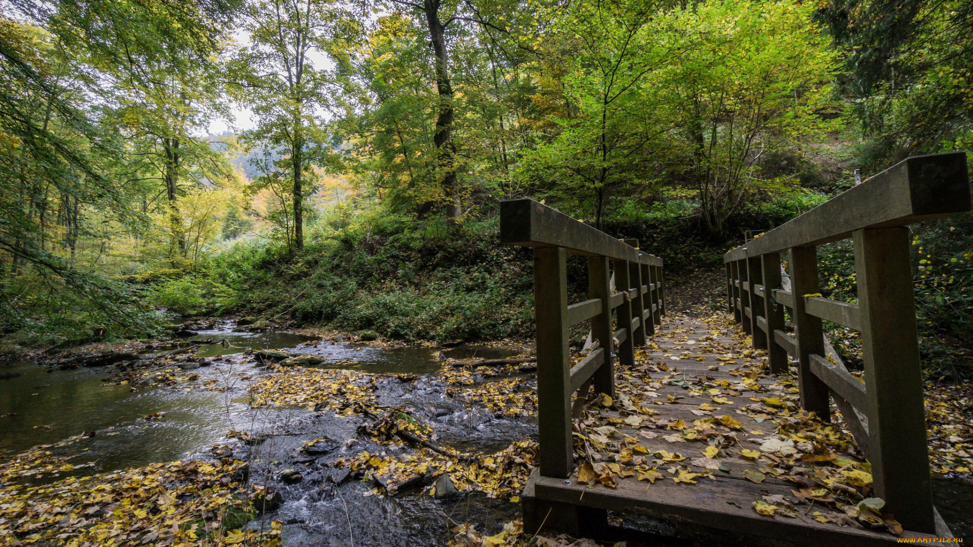 природа, реки, озера, простор