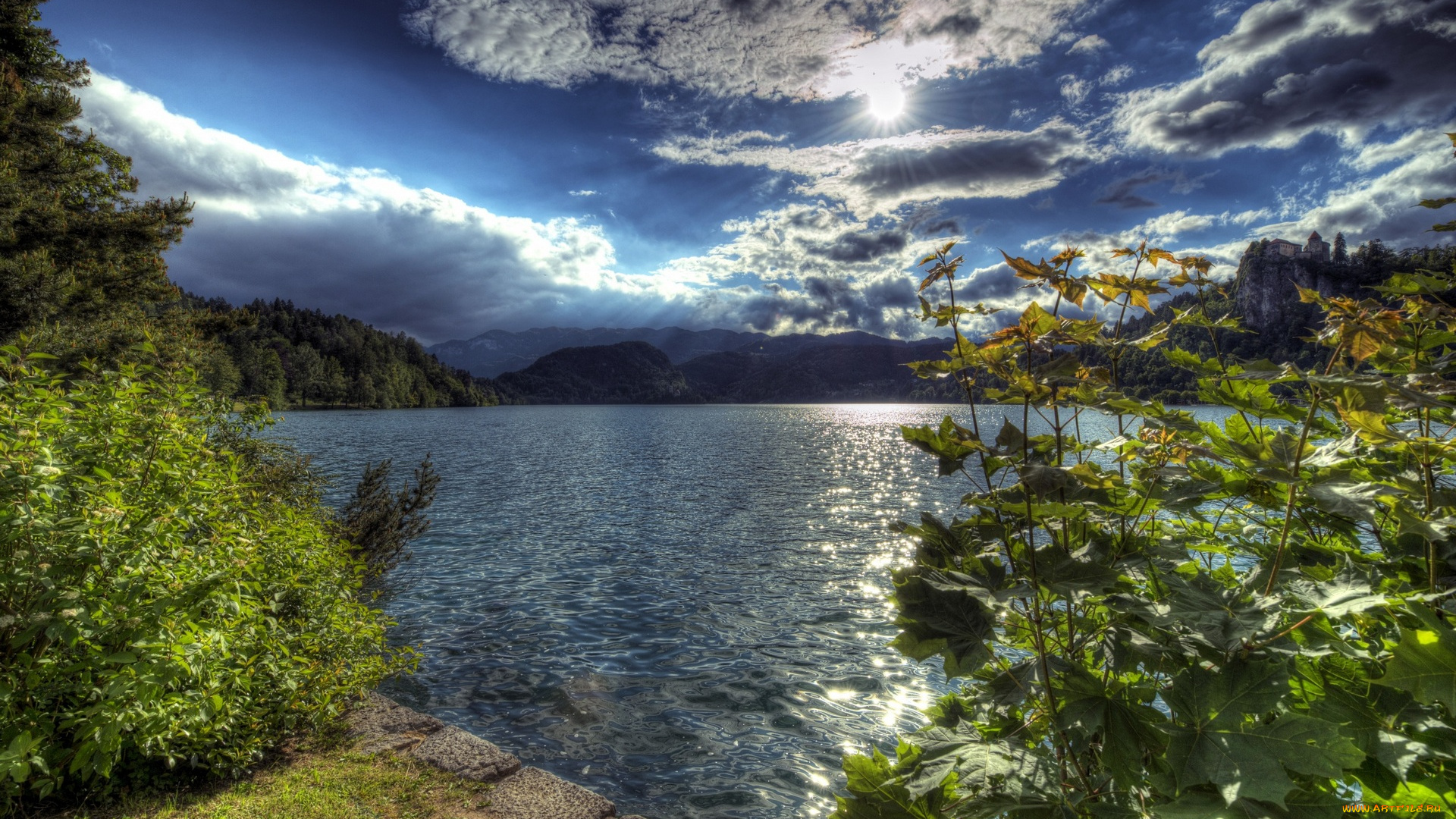 природа, реки, озера, водоем, кустарники, деревья, облака