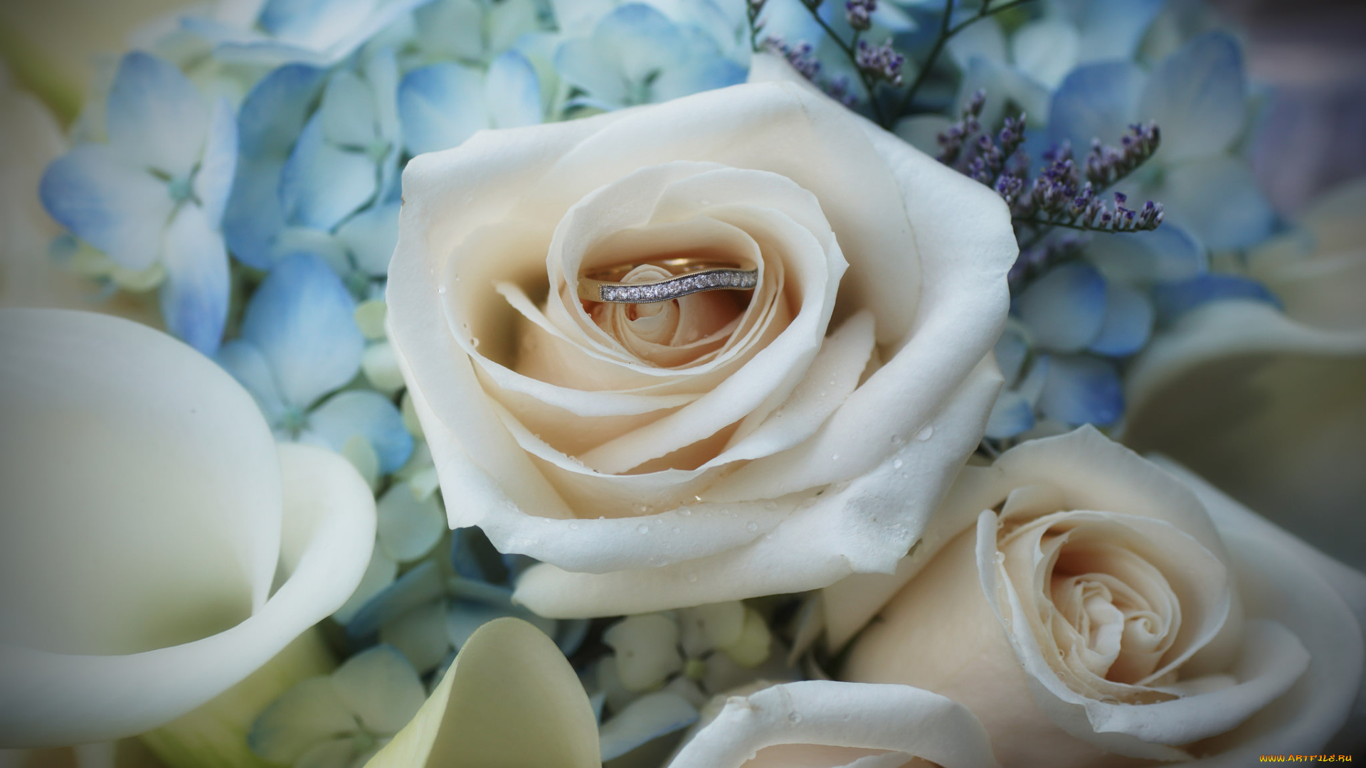 разное, украшения, , аксессуары, , веера, цветы, розы, украшение, кольцо