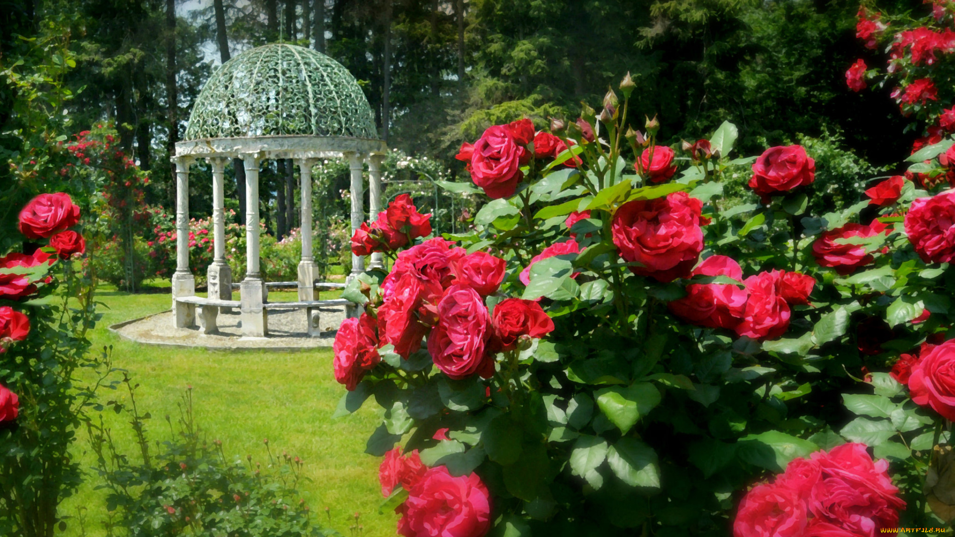 рисованное, цветы, розы, беседка