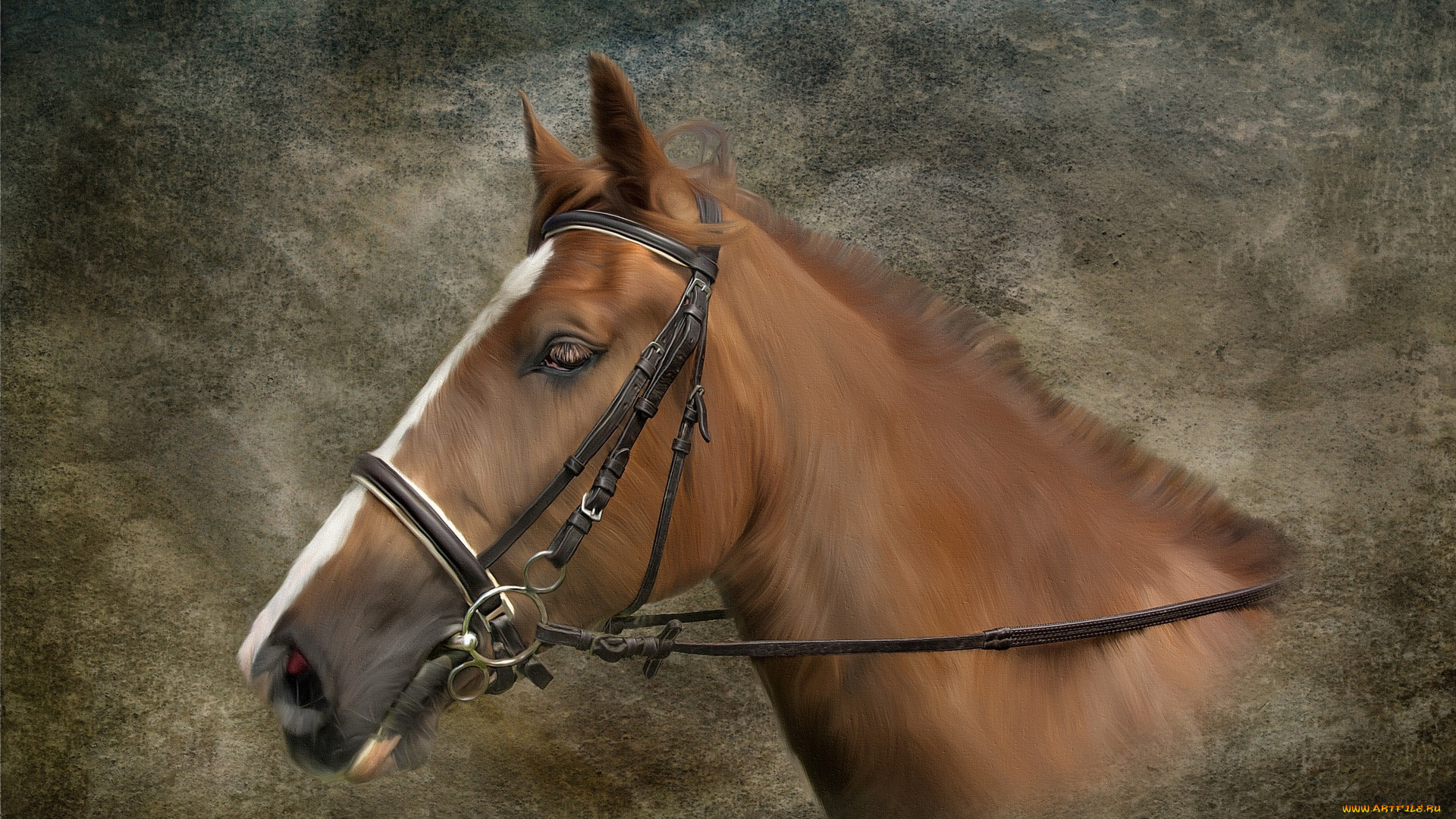 рисованное, животные, , лошади, анфас