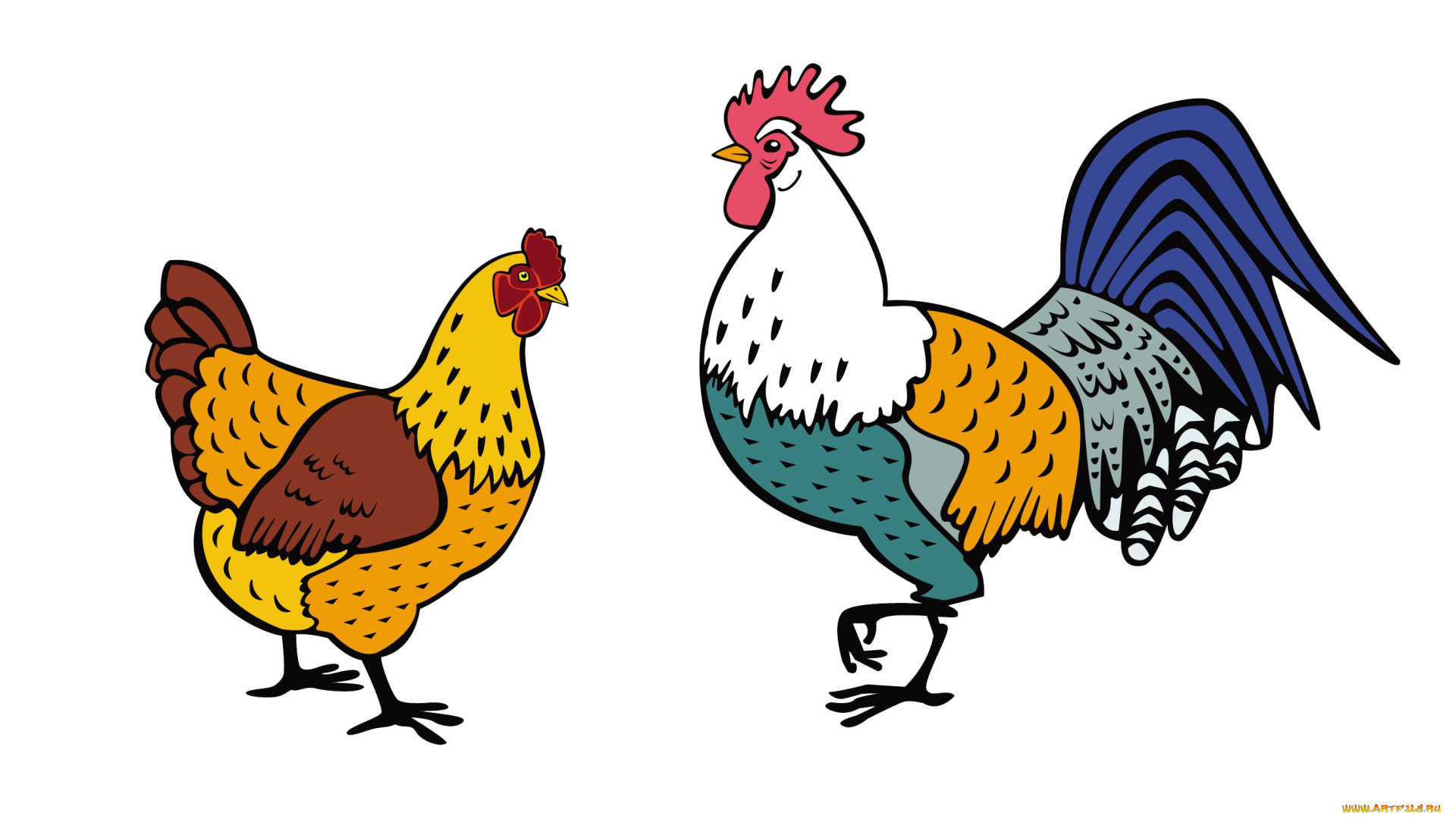 векторная, графика, животные, , animals, петух, курица