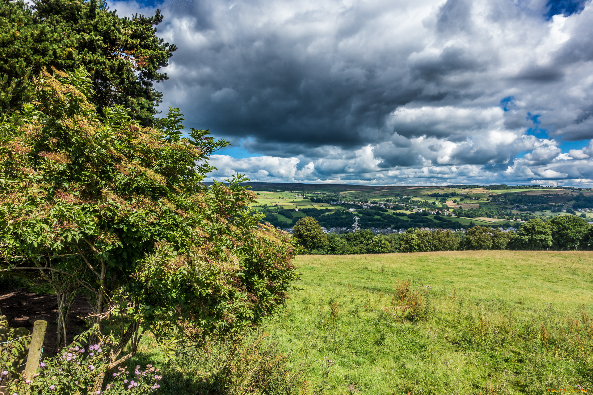 природа, пейзажи, простор