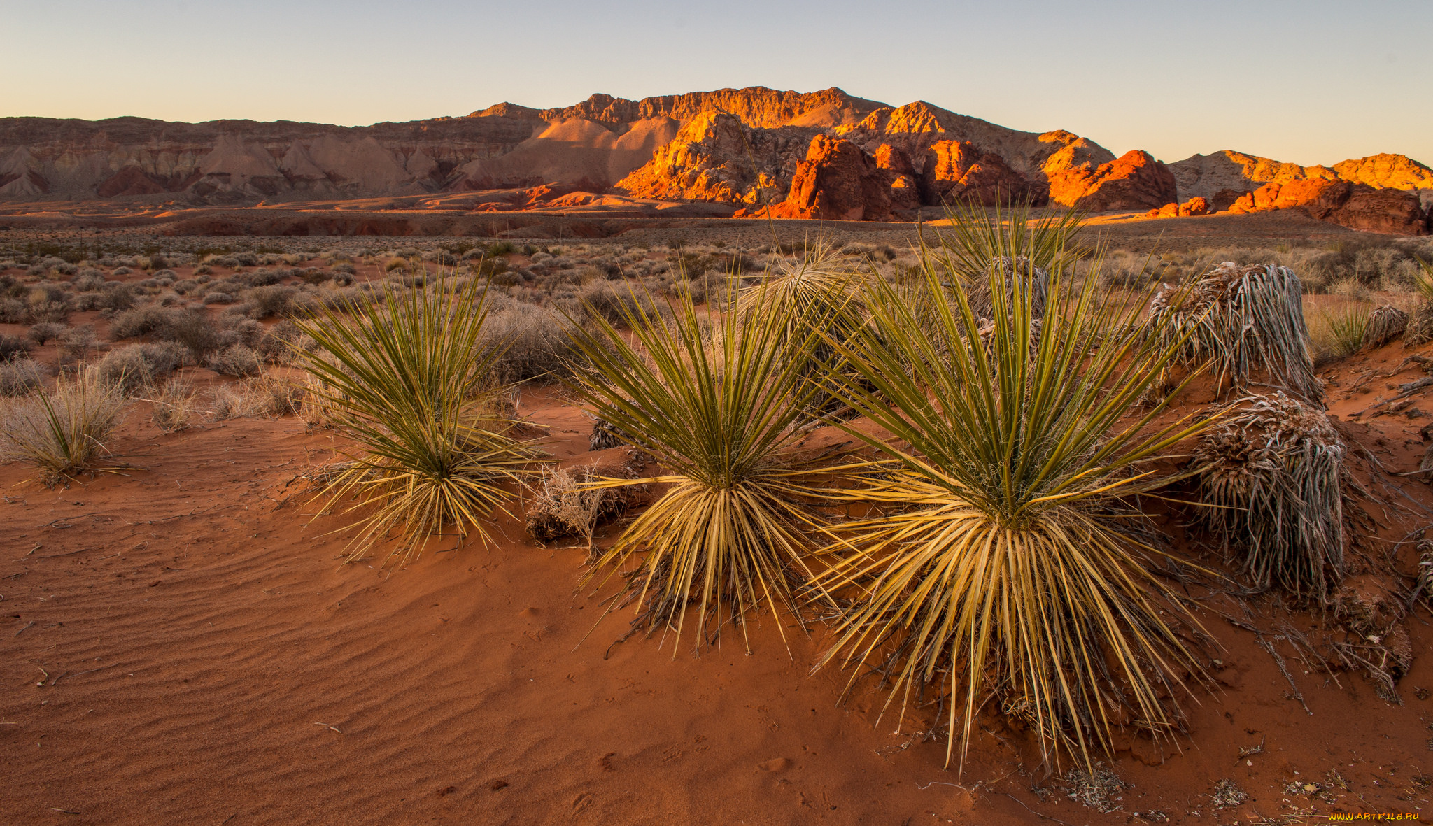 природа, пустыни, простор