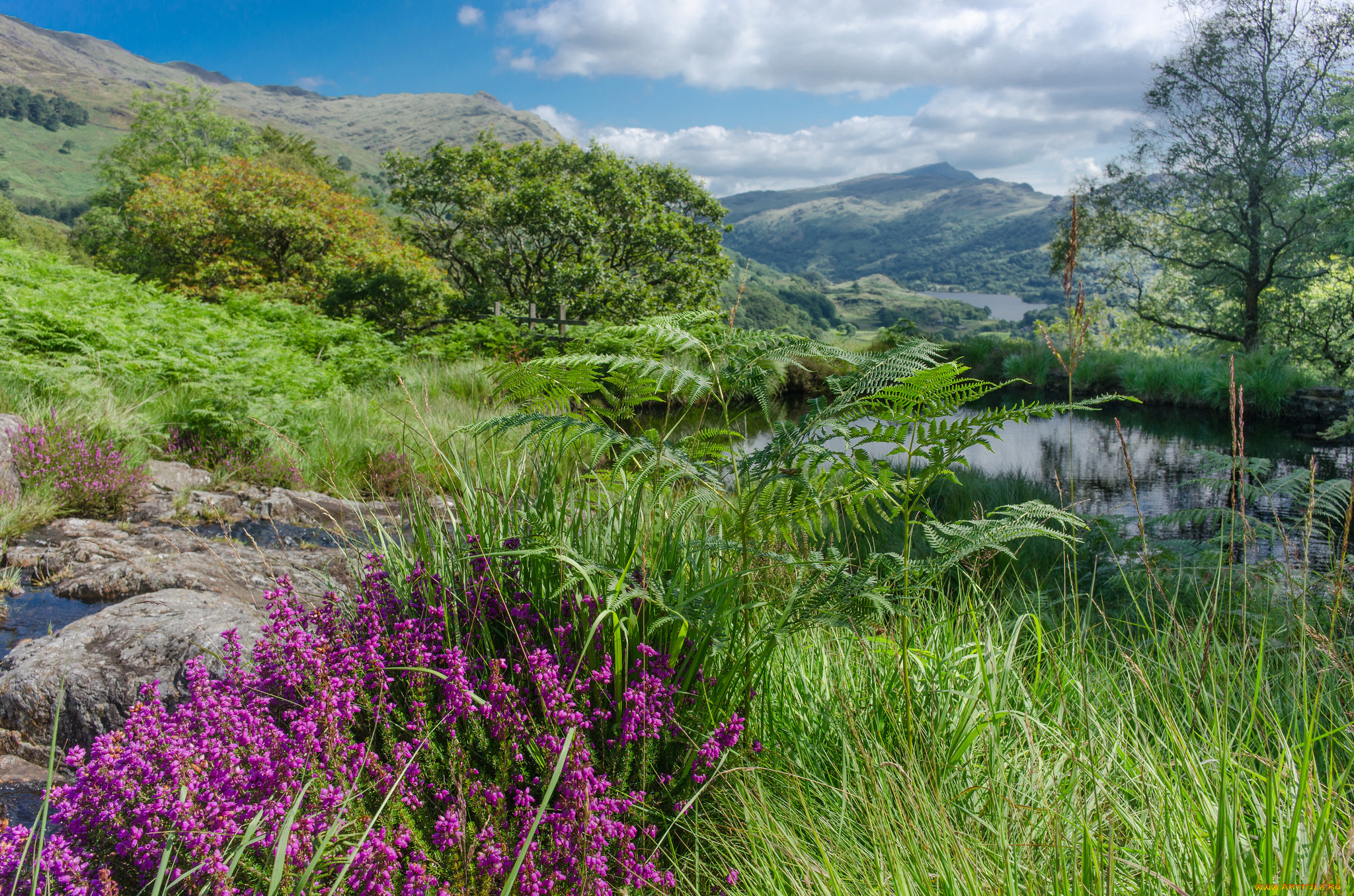 природа, пейзажи, простор
