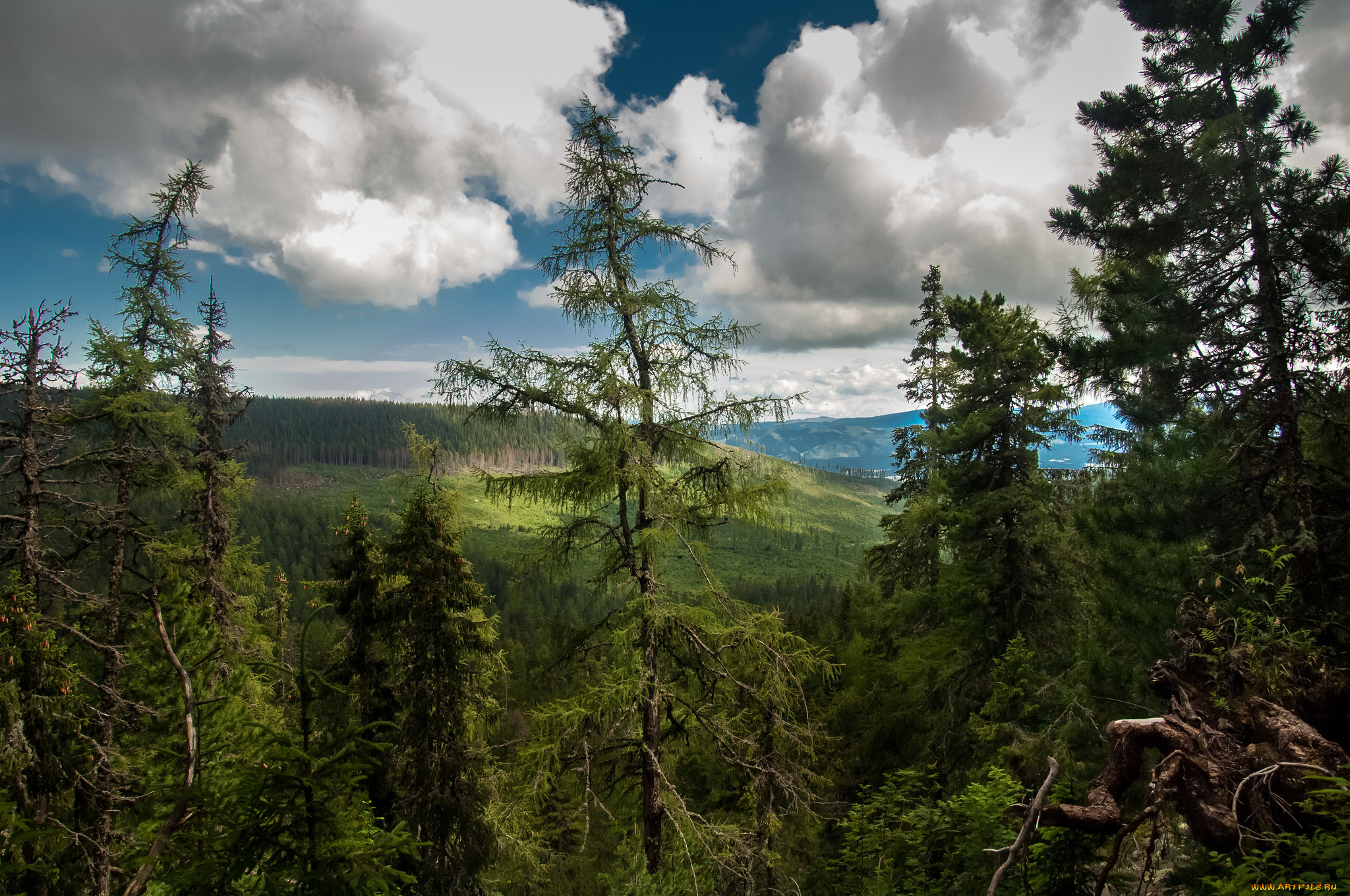 природа, пейзажи, простор