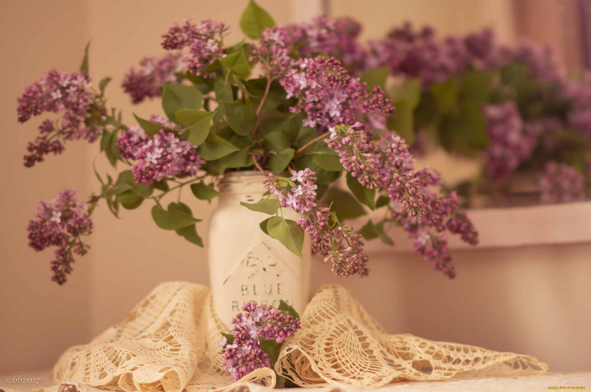 цветы, сирень, весна, цветение, ветки