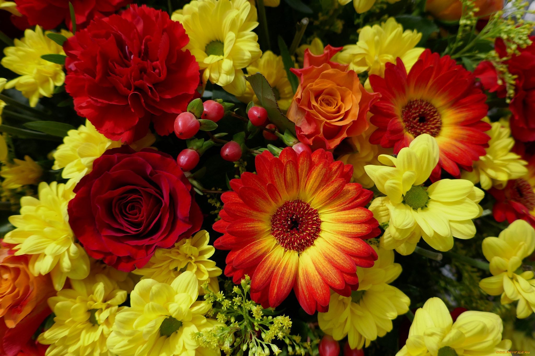цветы, разные, вместе, розы, герберы, букет, разные