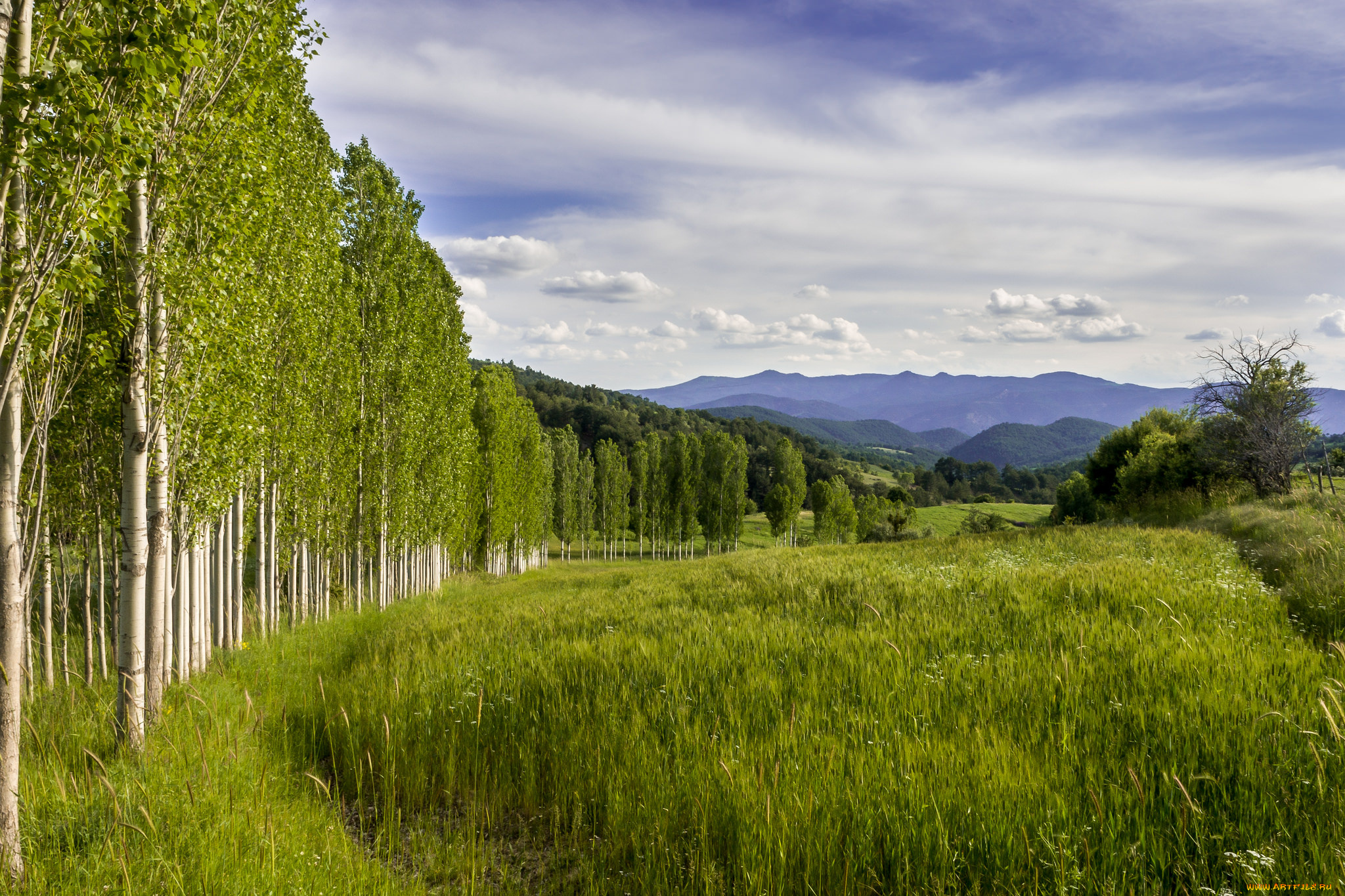 природа, пейзажи, простор