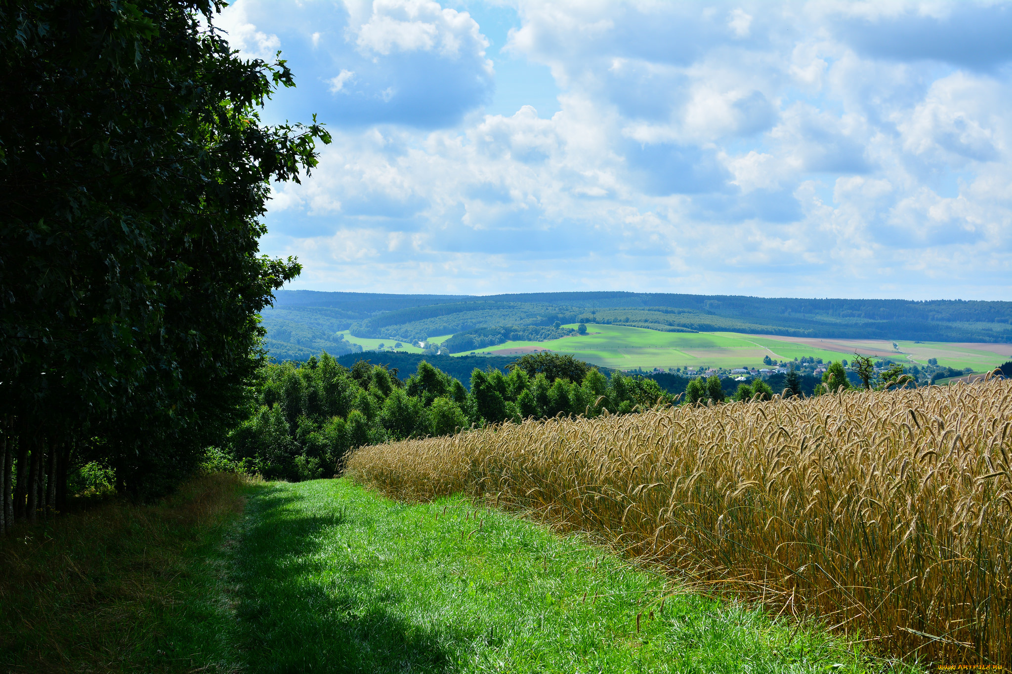природа, поля, простор