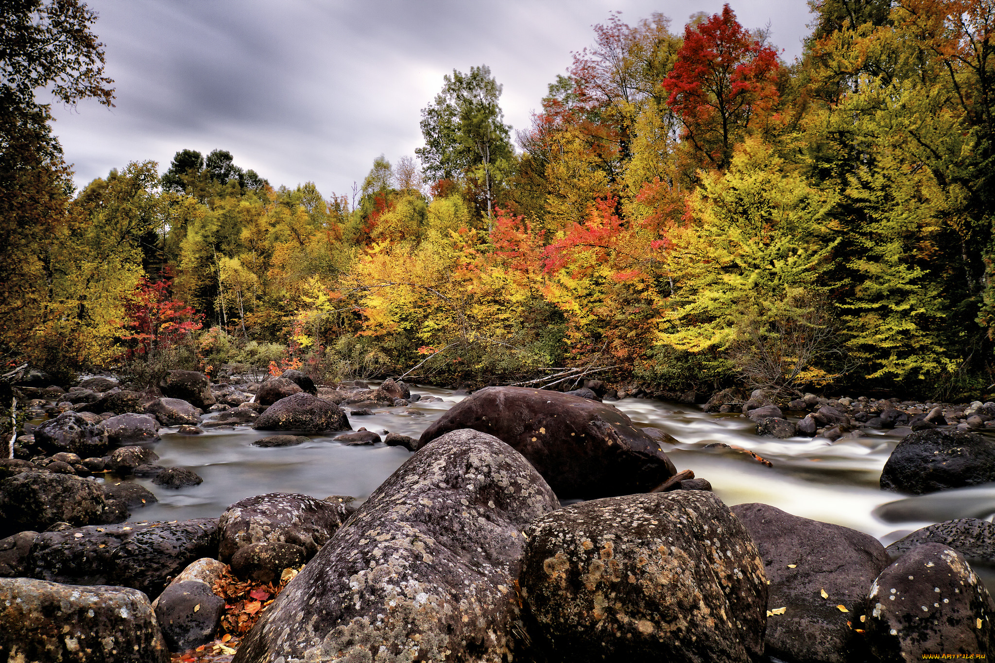 природа, реки, озера, простор