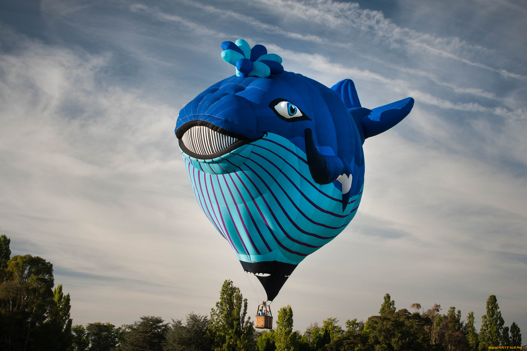 авиация, воздушные, шары, аэростат