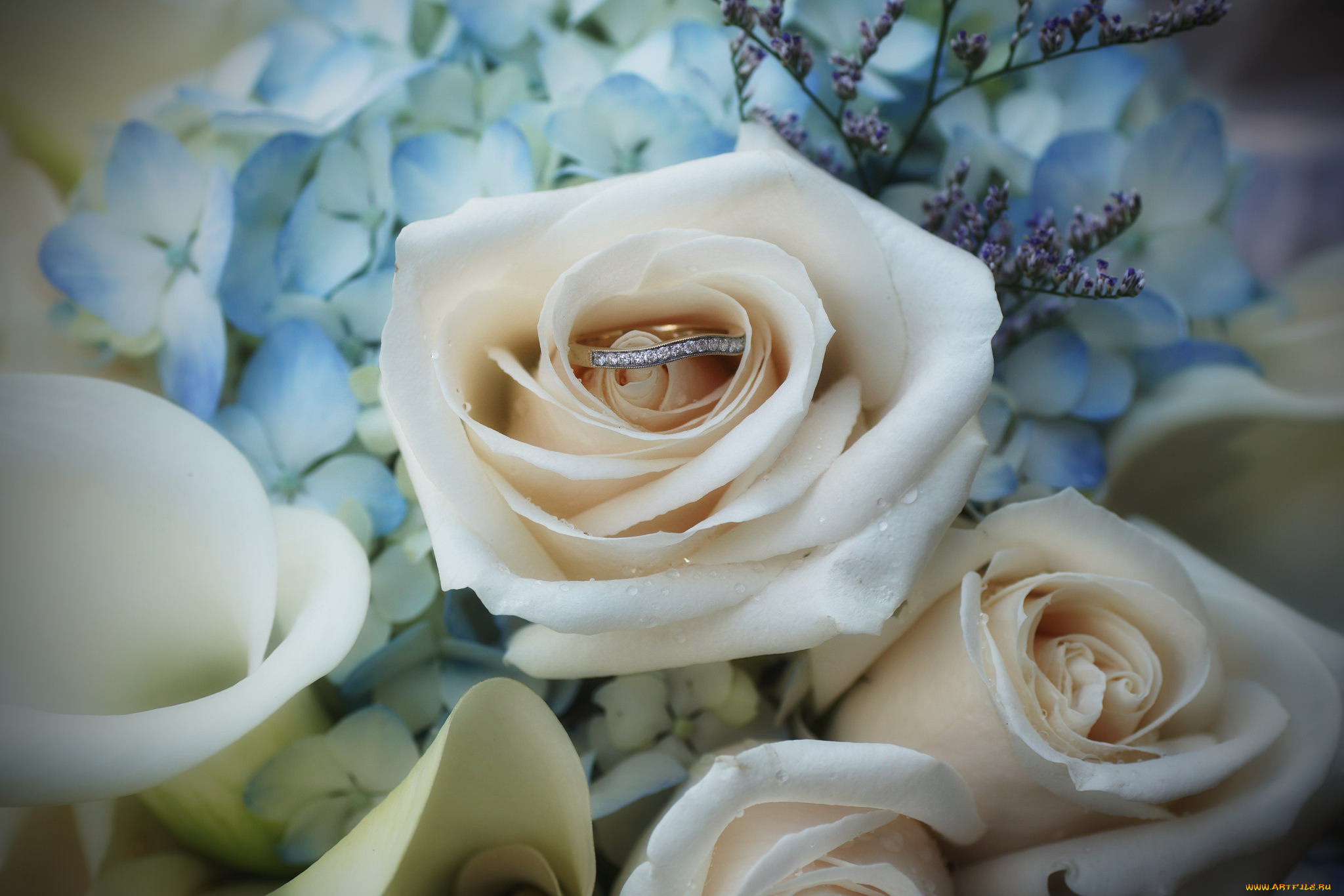 разное, украшения, , аксессуары, , веера, цветы, розы, украшение, кольцо