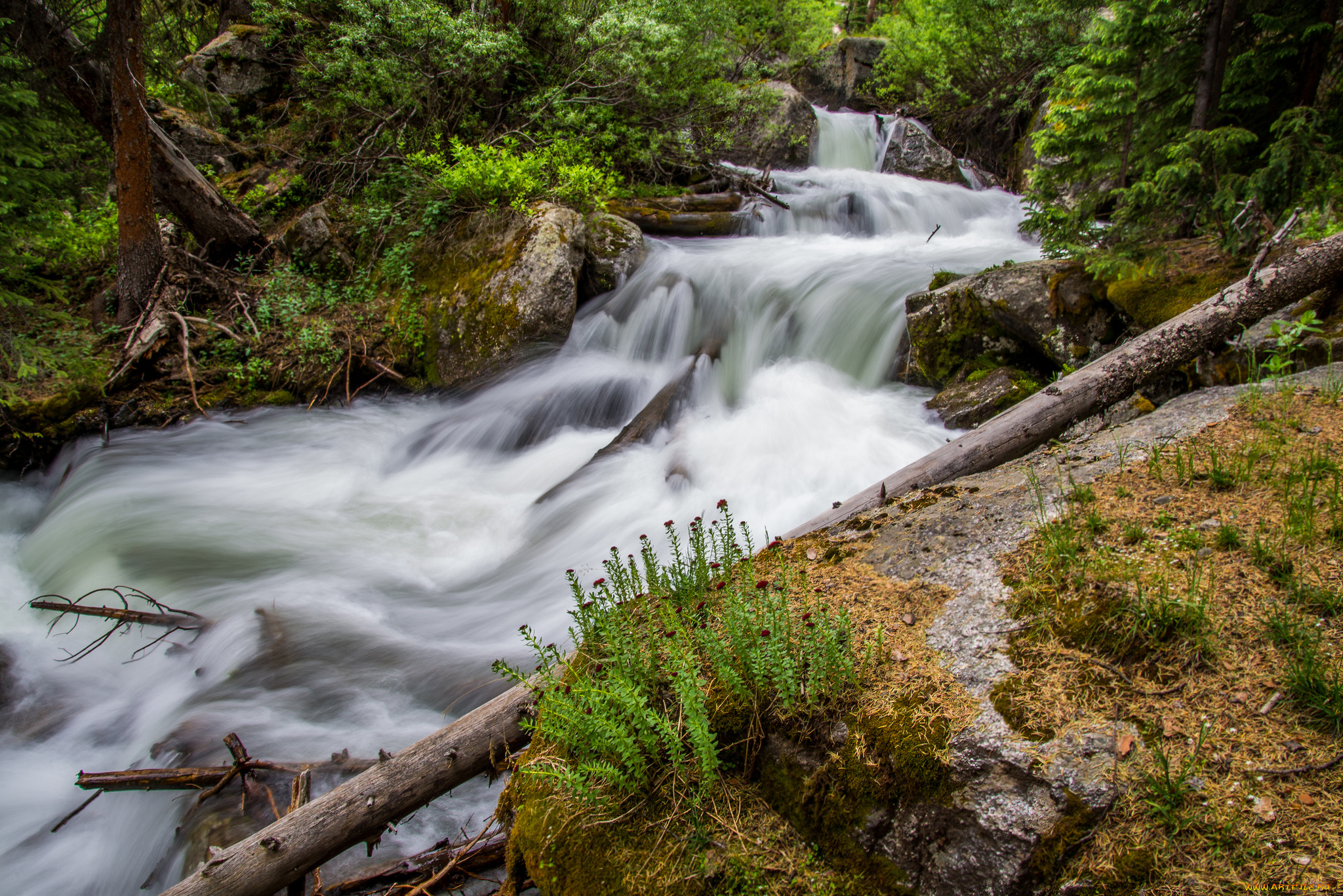 природа, реки, озера, простор