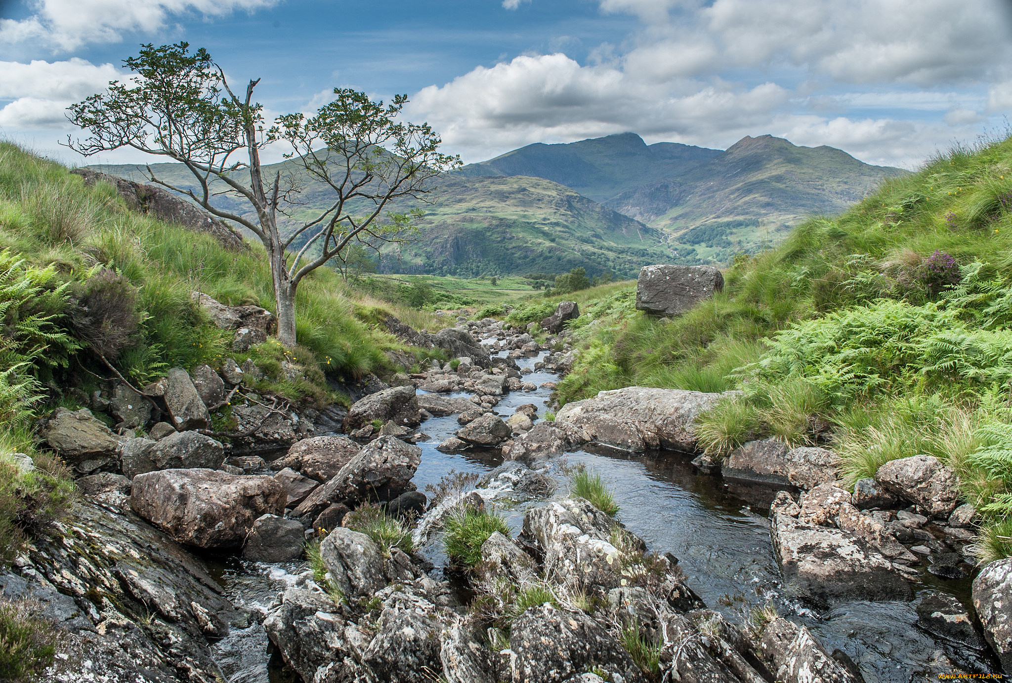 природа, реки, озера, простор