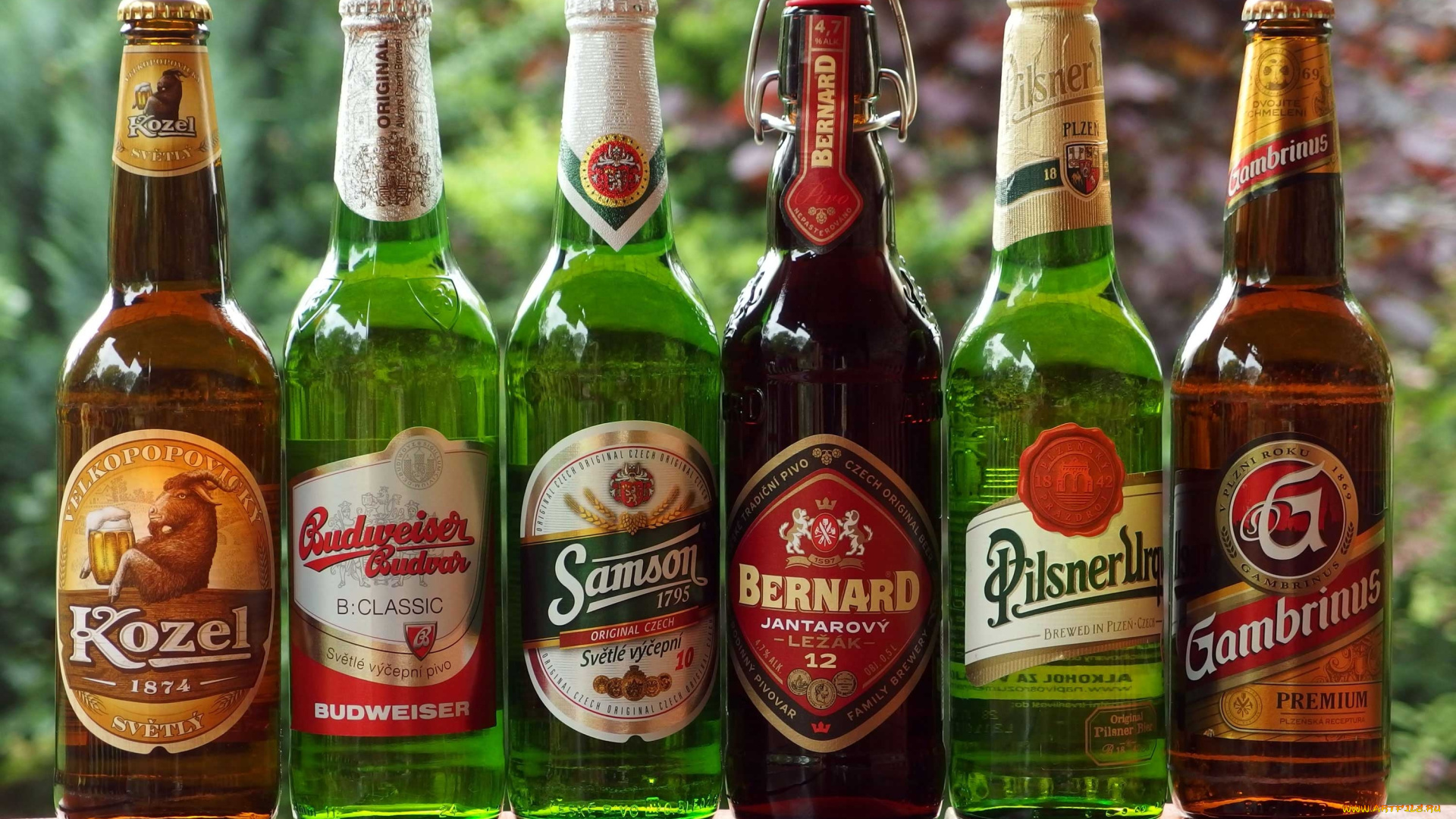 бренды, бренды, напитков, , разное, пиво