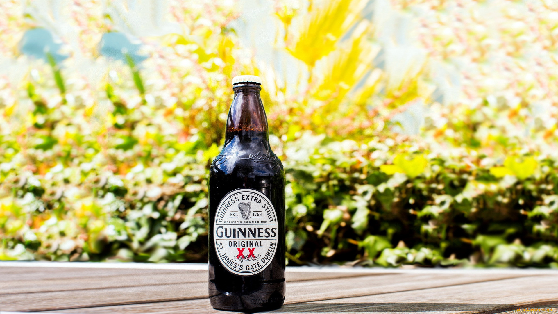 бренды, guinness, пиво