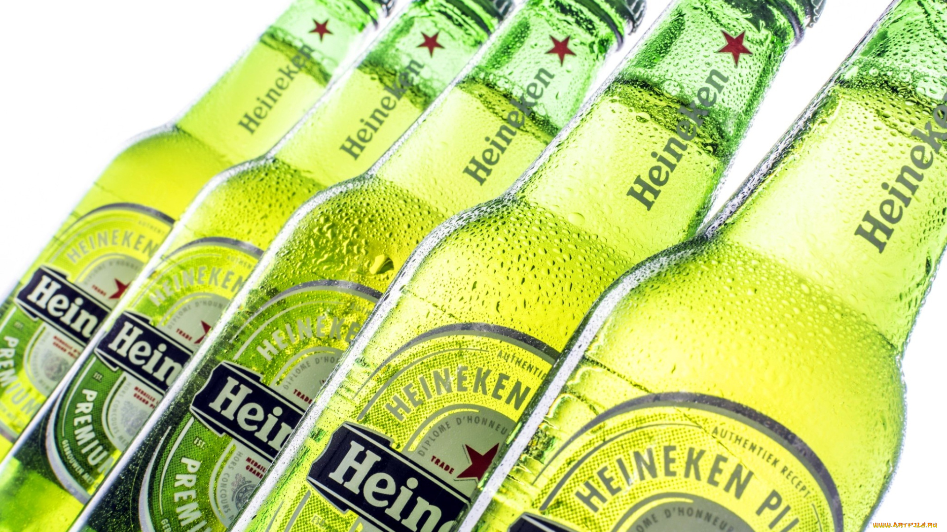 бренды, heineken, пиво