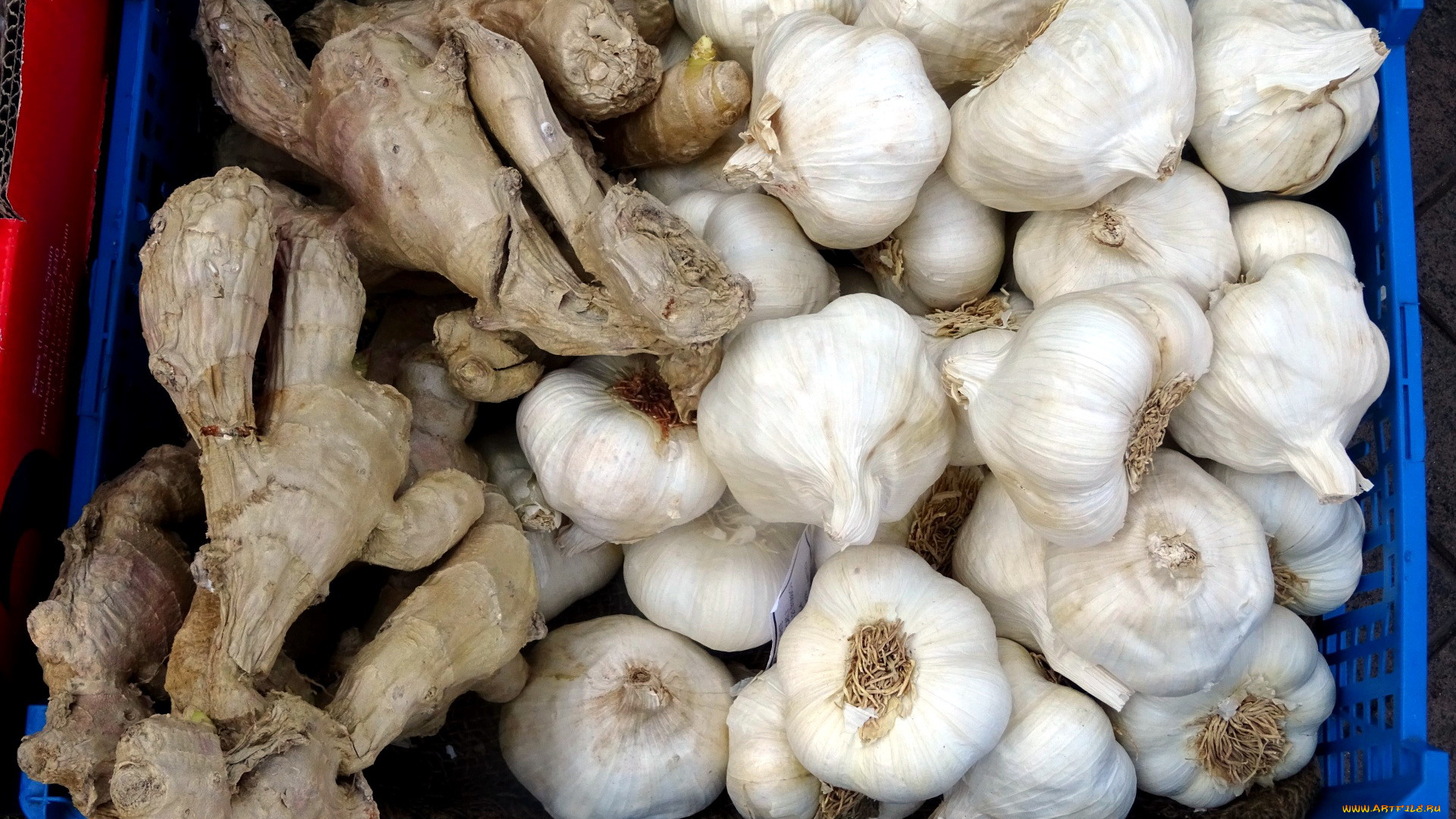 еда, овощи, чеснок