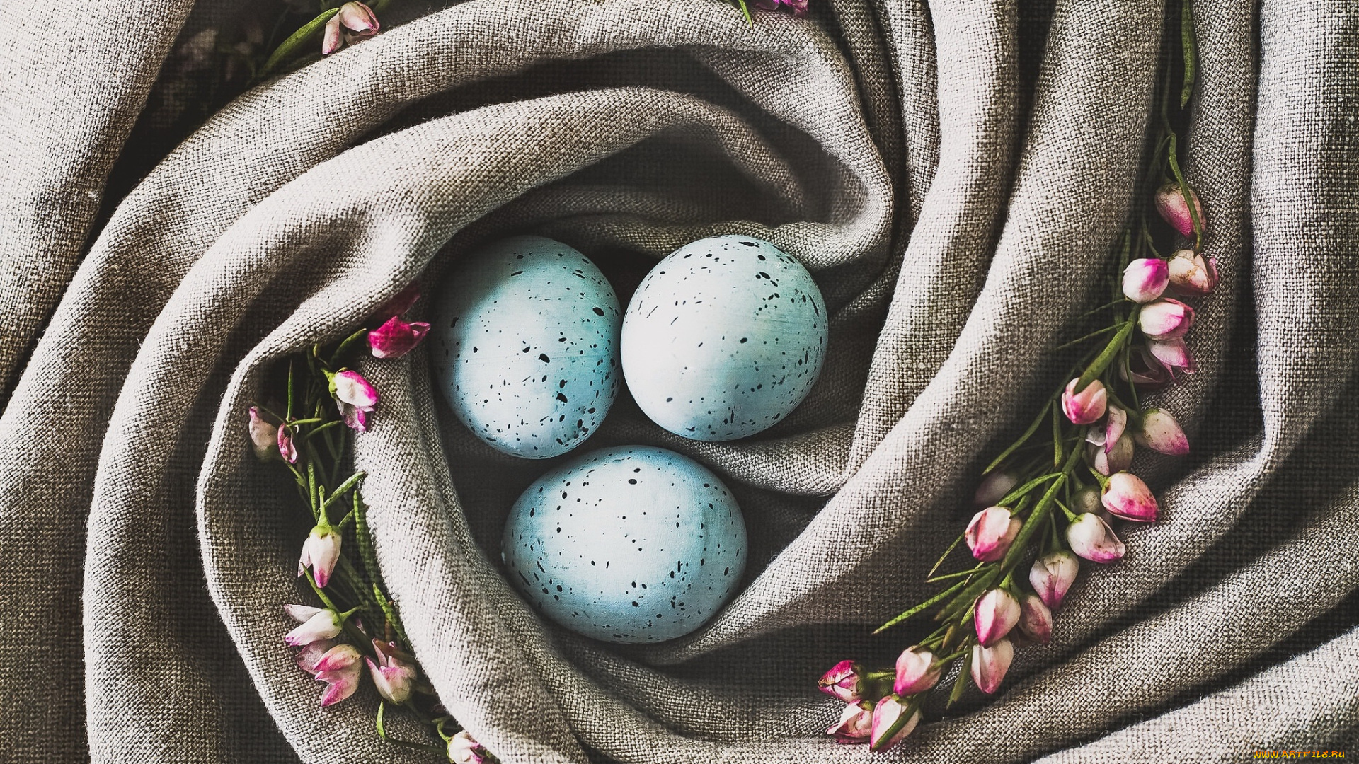 еда, Яйца, гнездо, яйца, цветы
