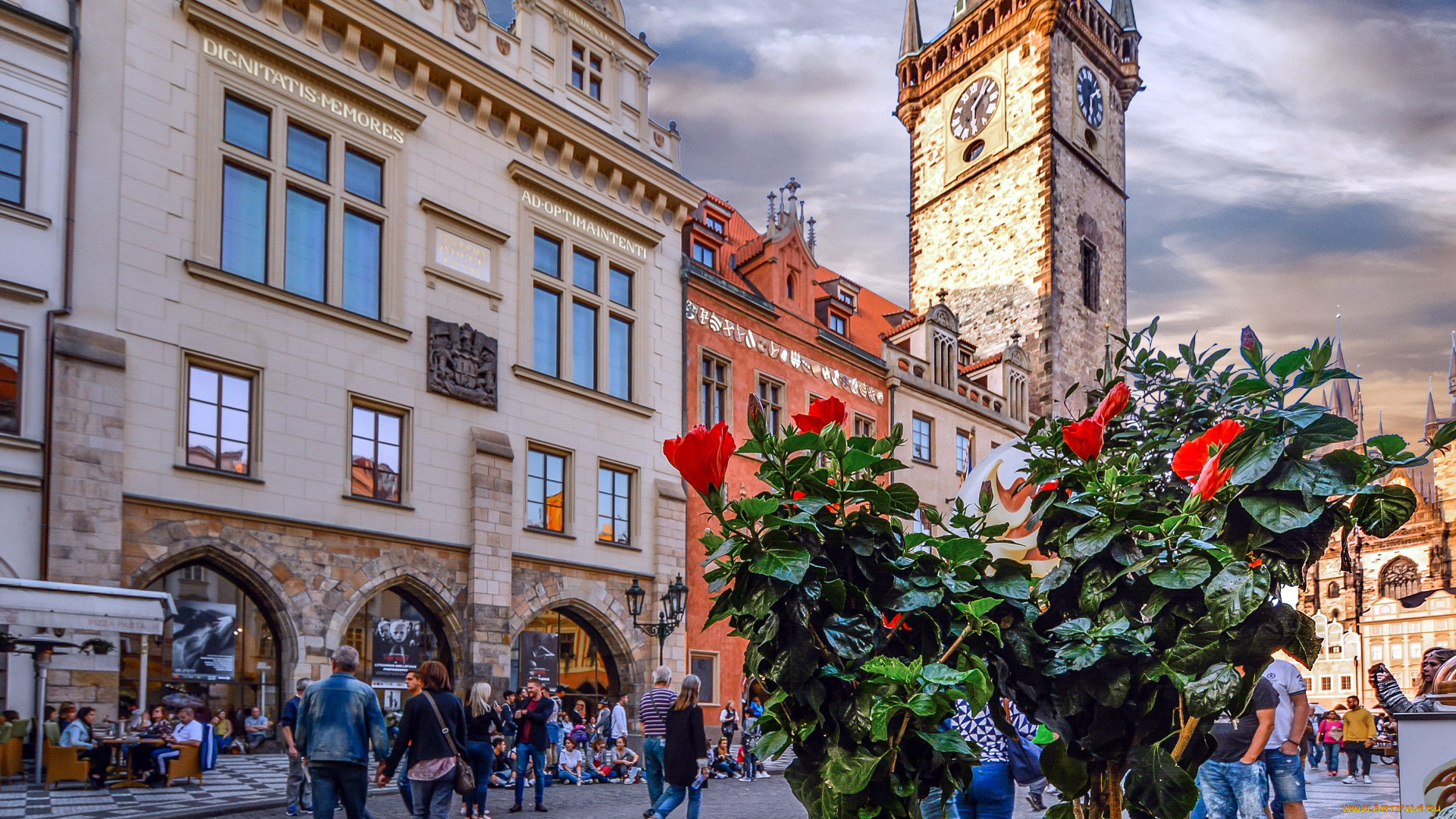 города, прага, , Чехия, старый, город, площадь, башни